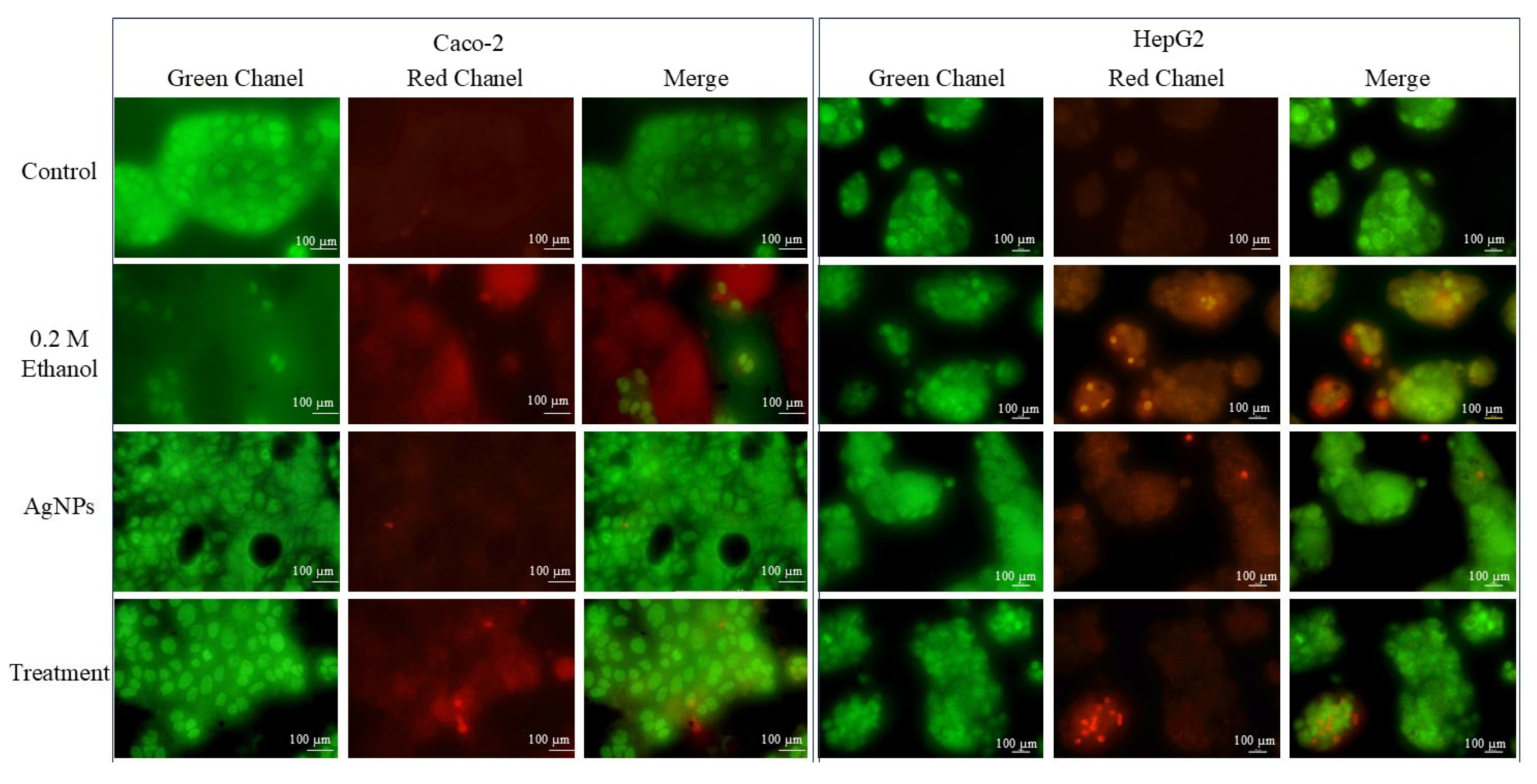 Preprints 162962 g005