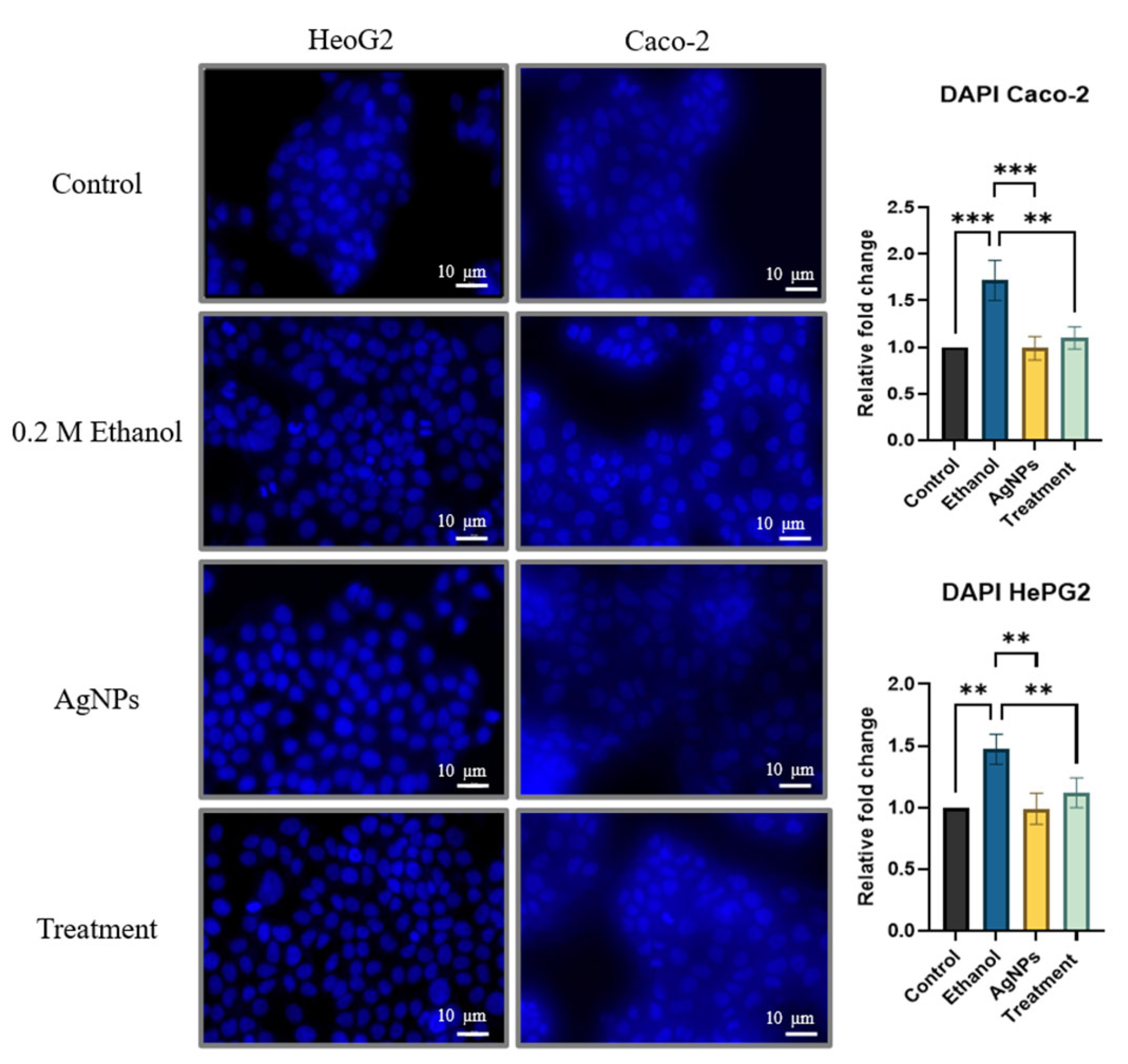 Preprints 162962 g006