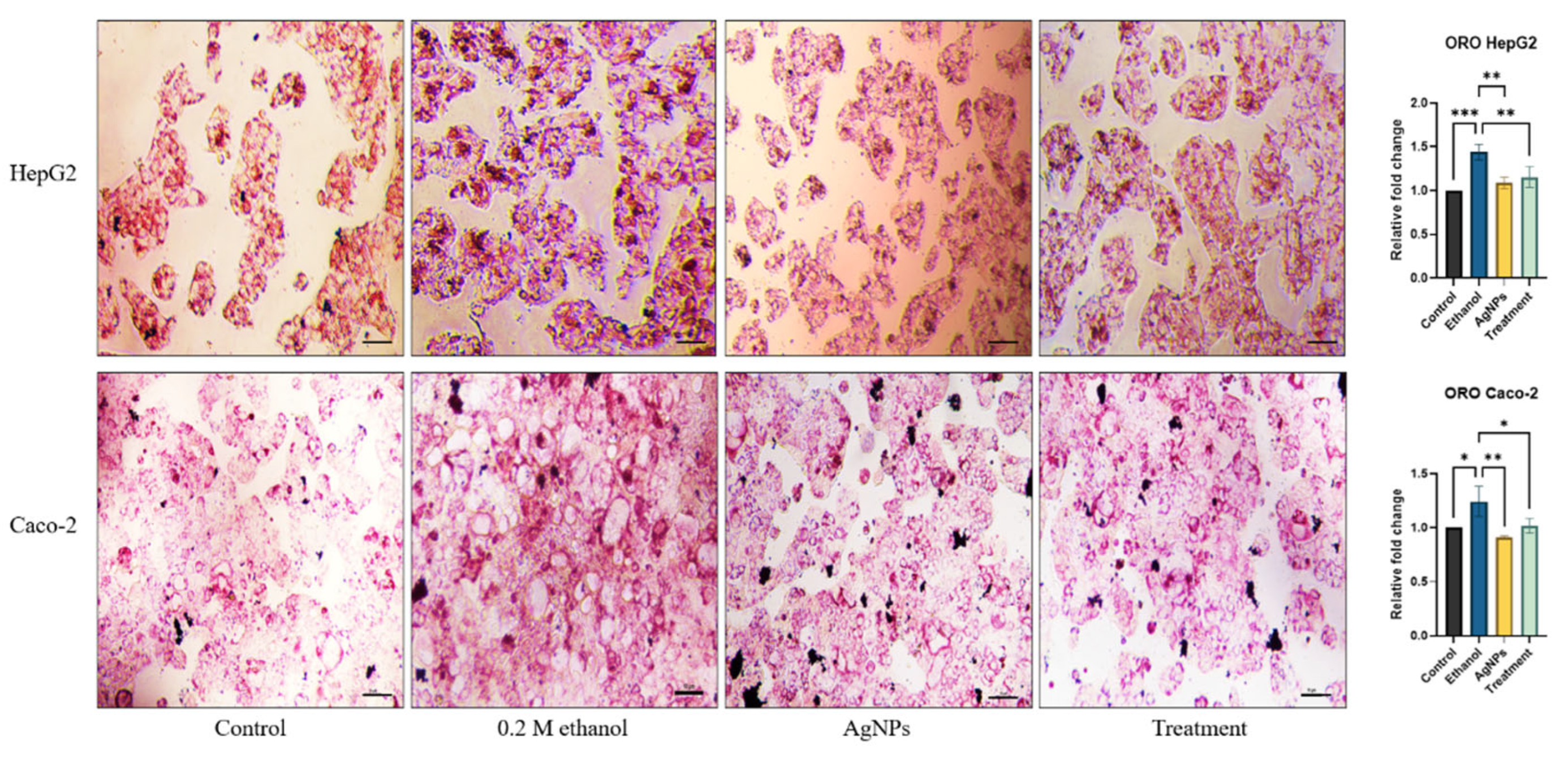 Preprints 162962 g008