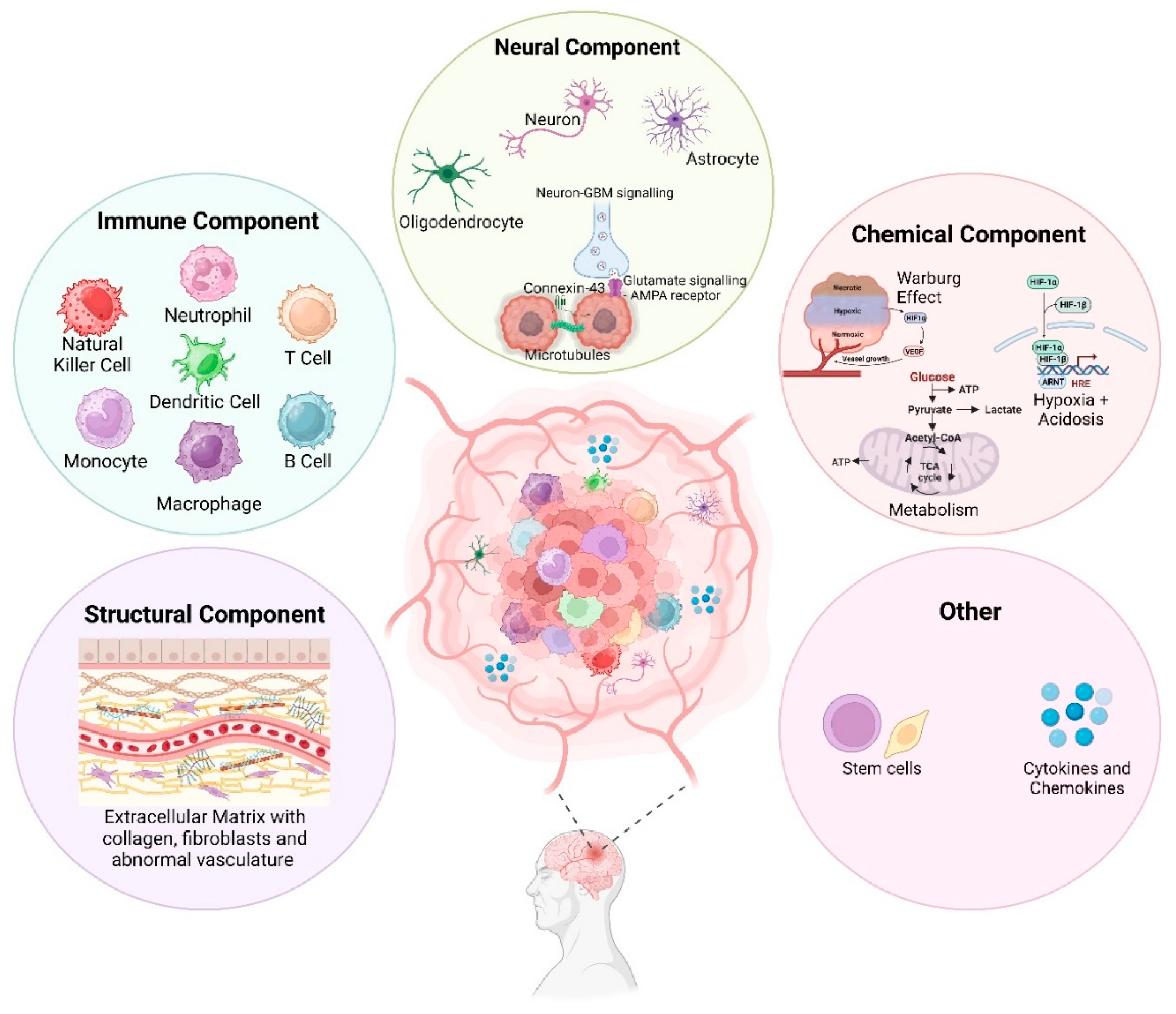 Preprints 82329 g001