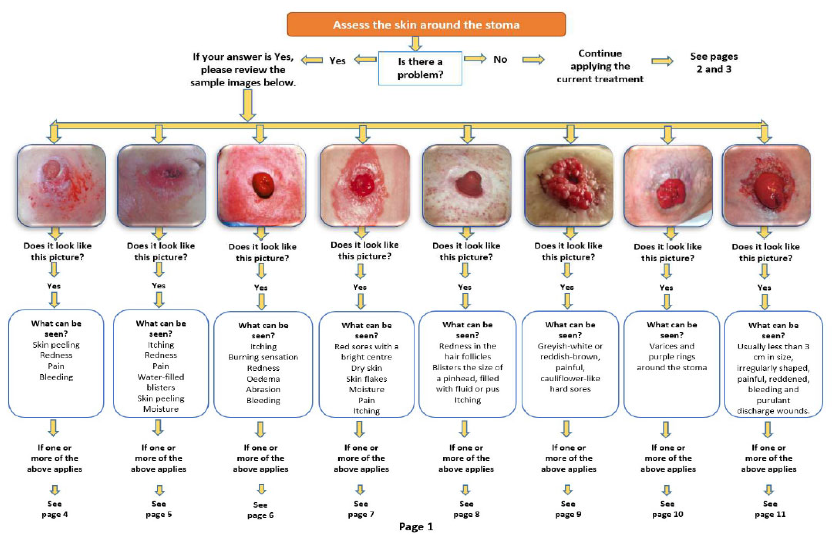 Preprints 199620 g001
