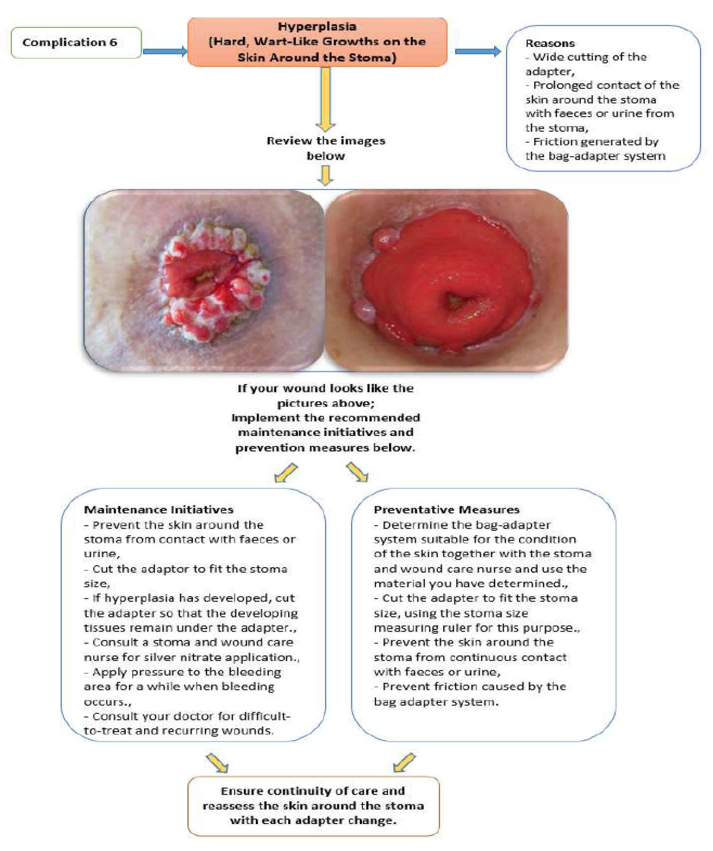 Preprints 199620 g002