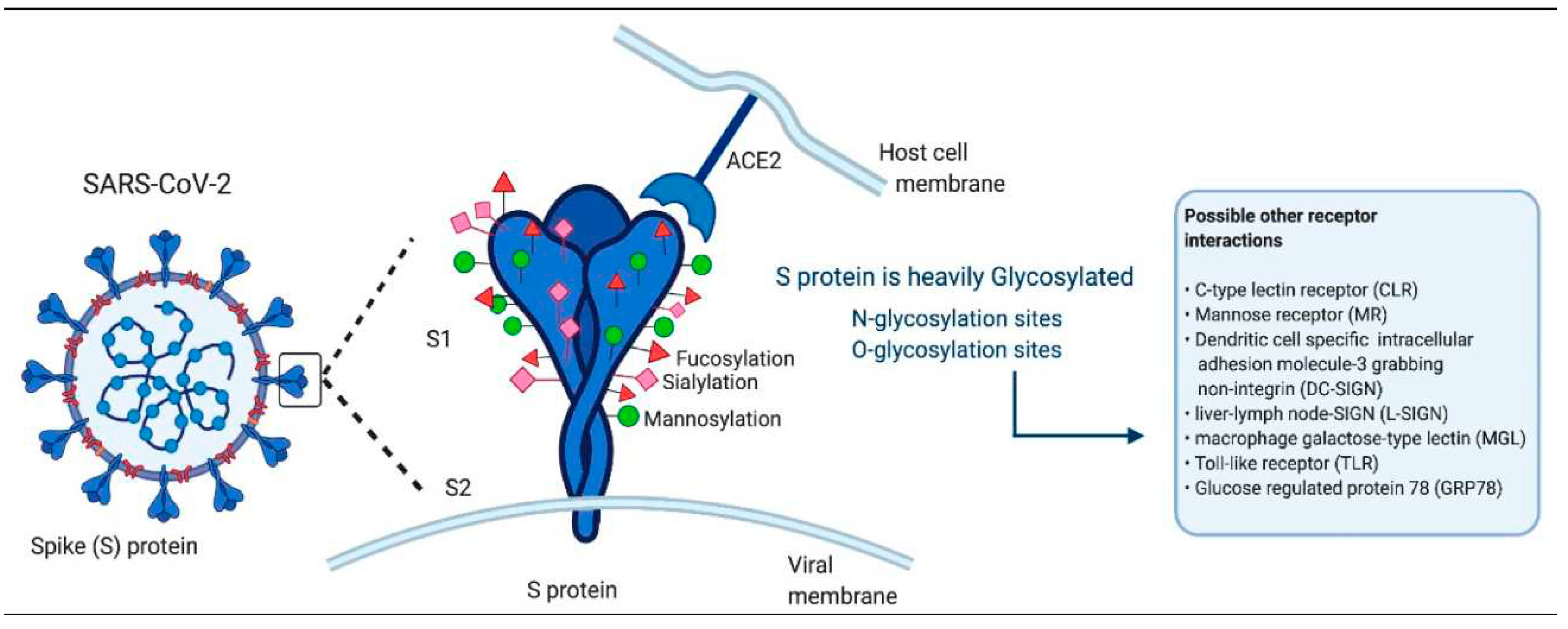 Preprints 91473 g001