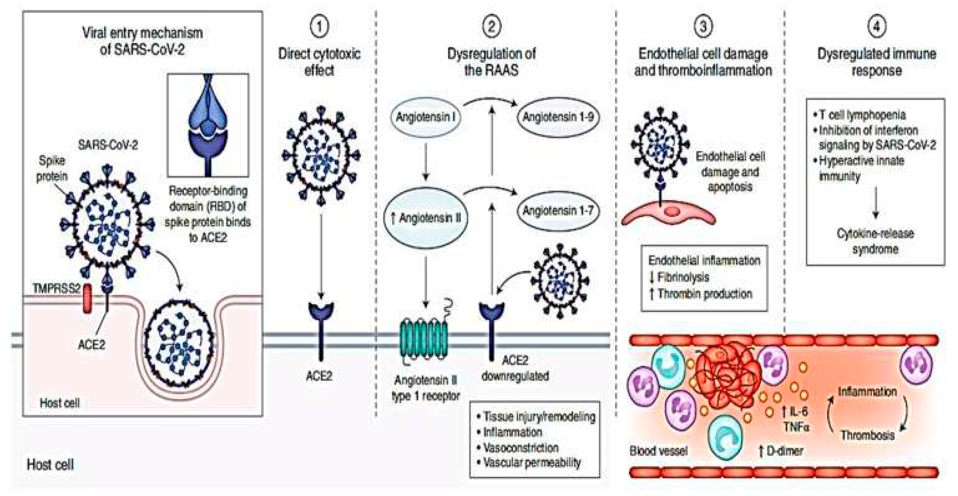 Preprints 91473 g003