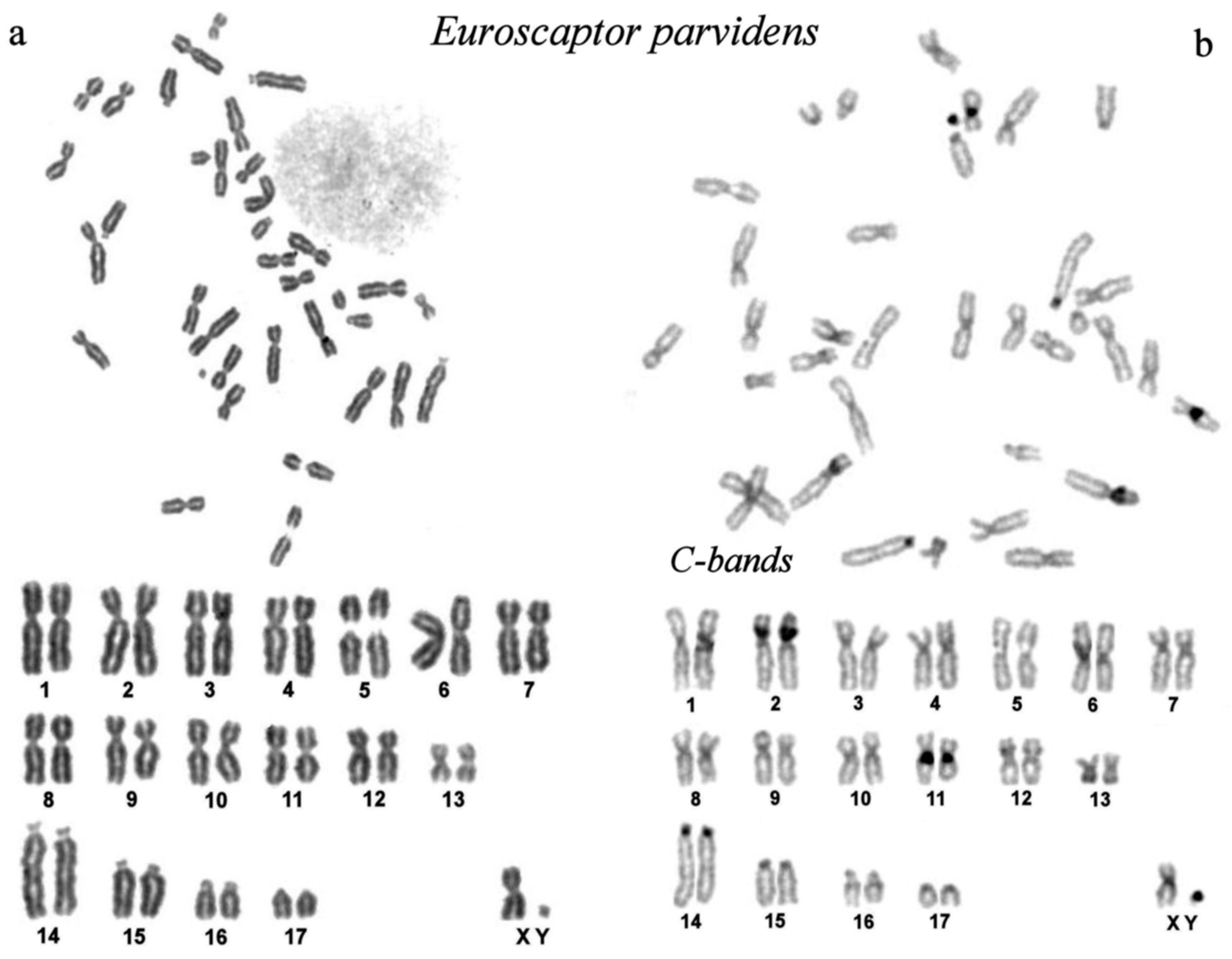 Preprints 76855 g001