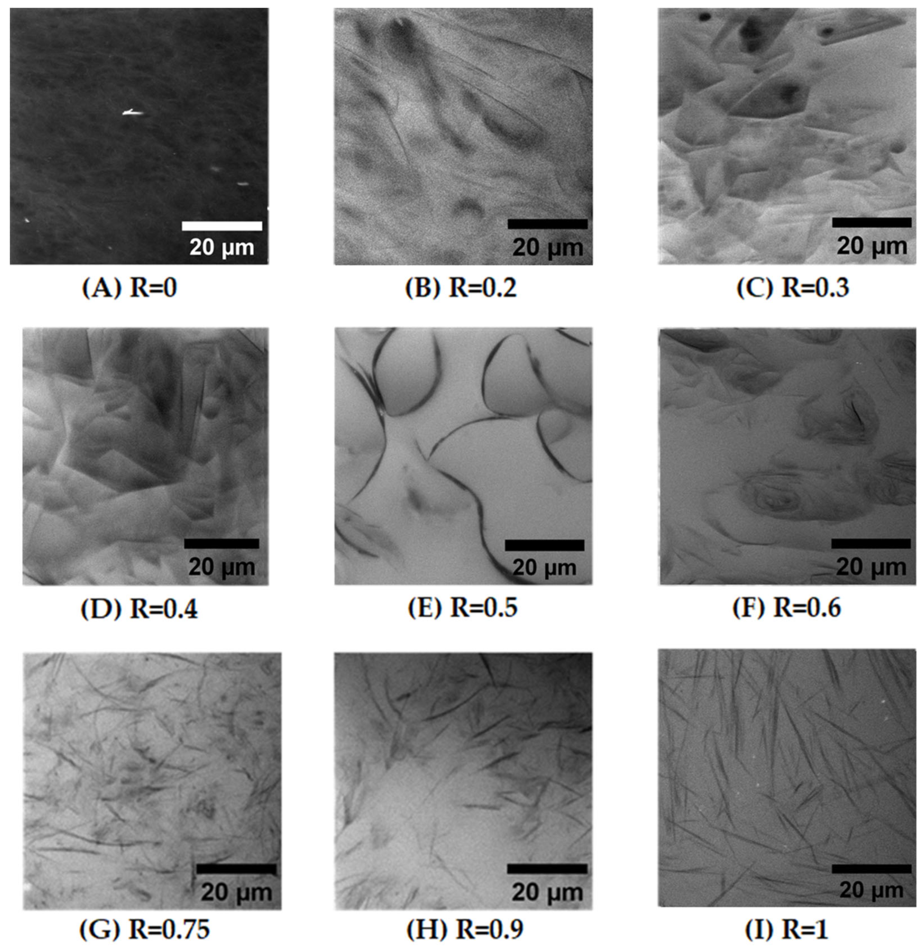 Preprints 71754 g003