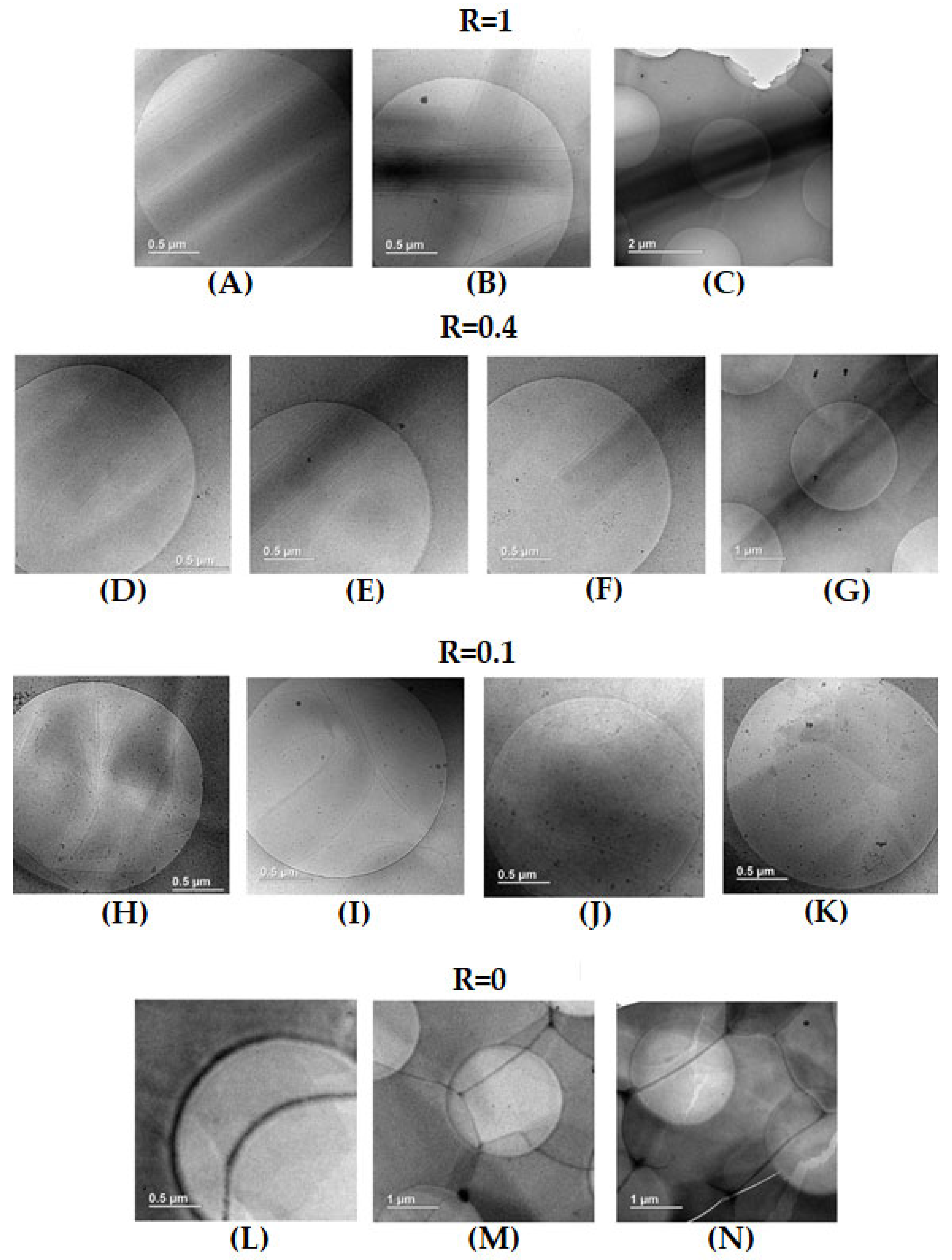 Preprints 71754 g004