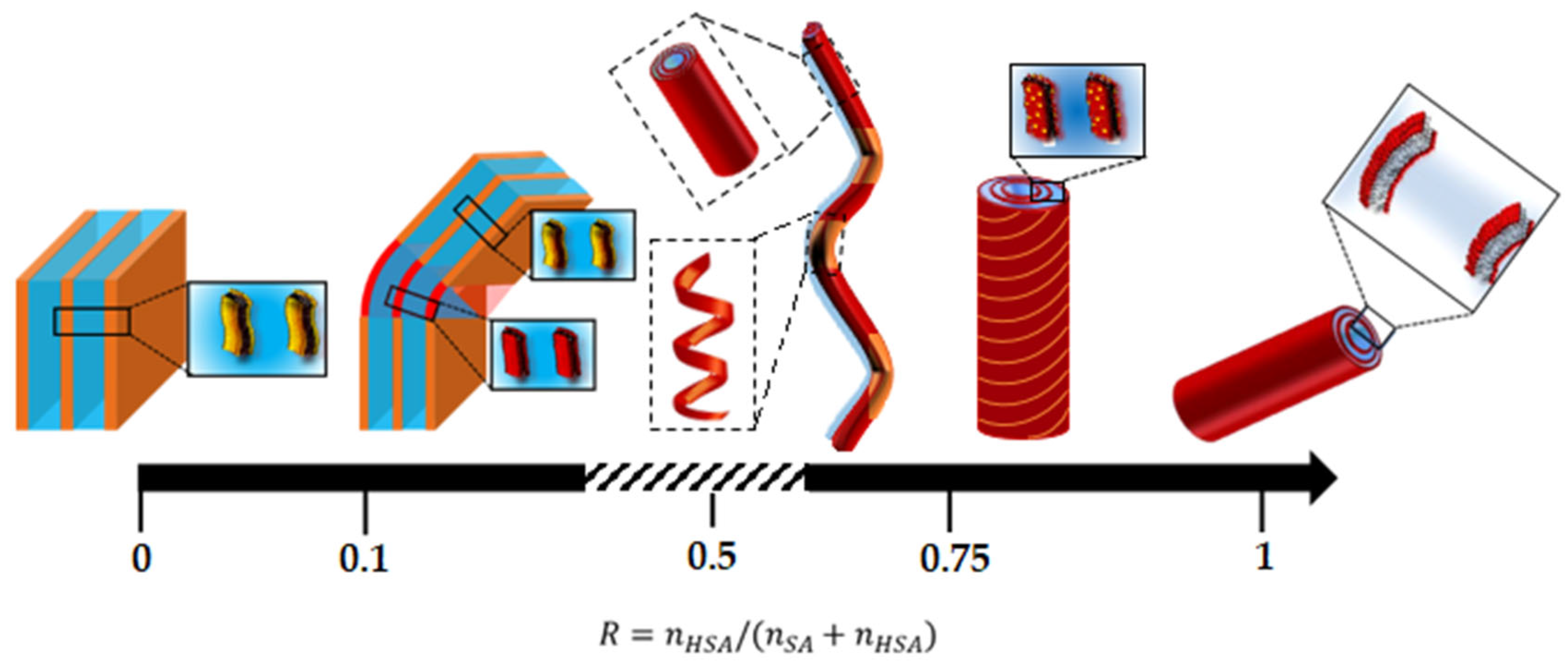 Preprints 71754 g008