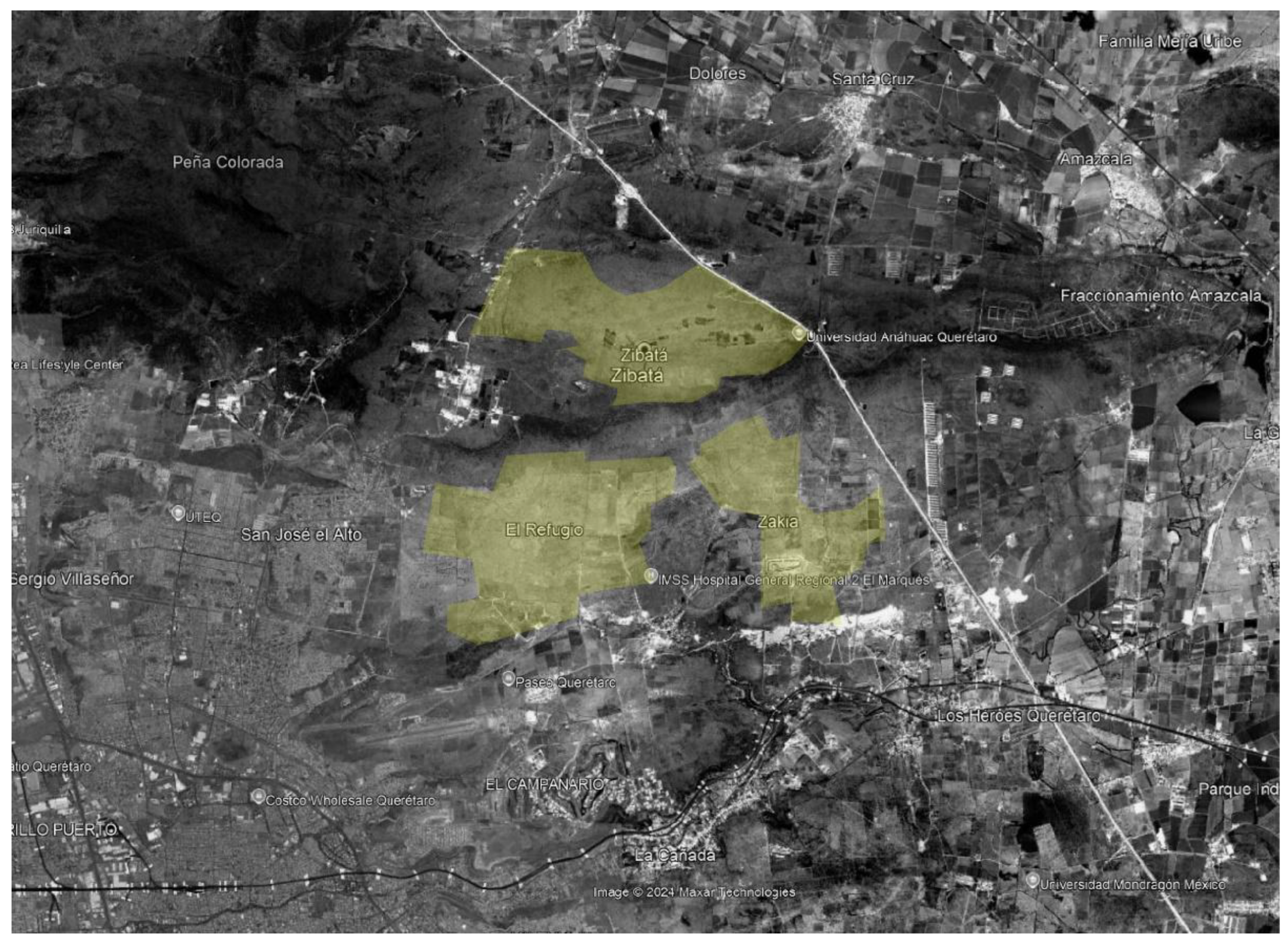 Preprints 164323 g001