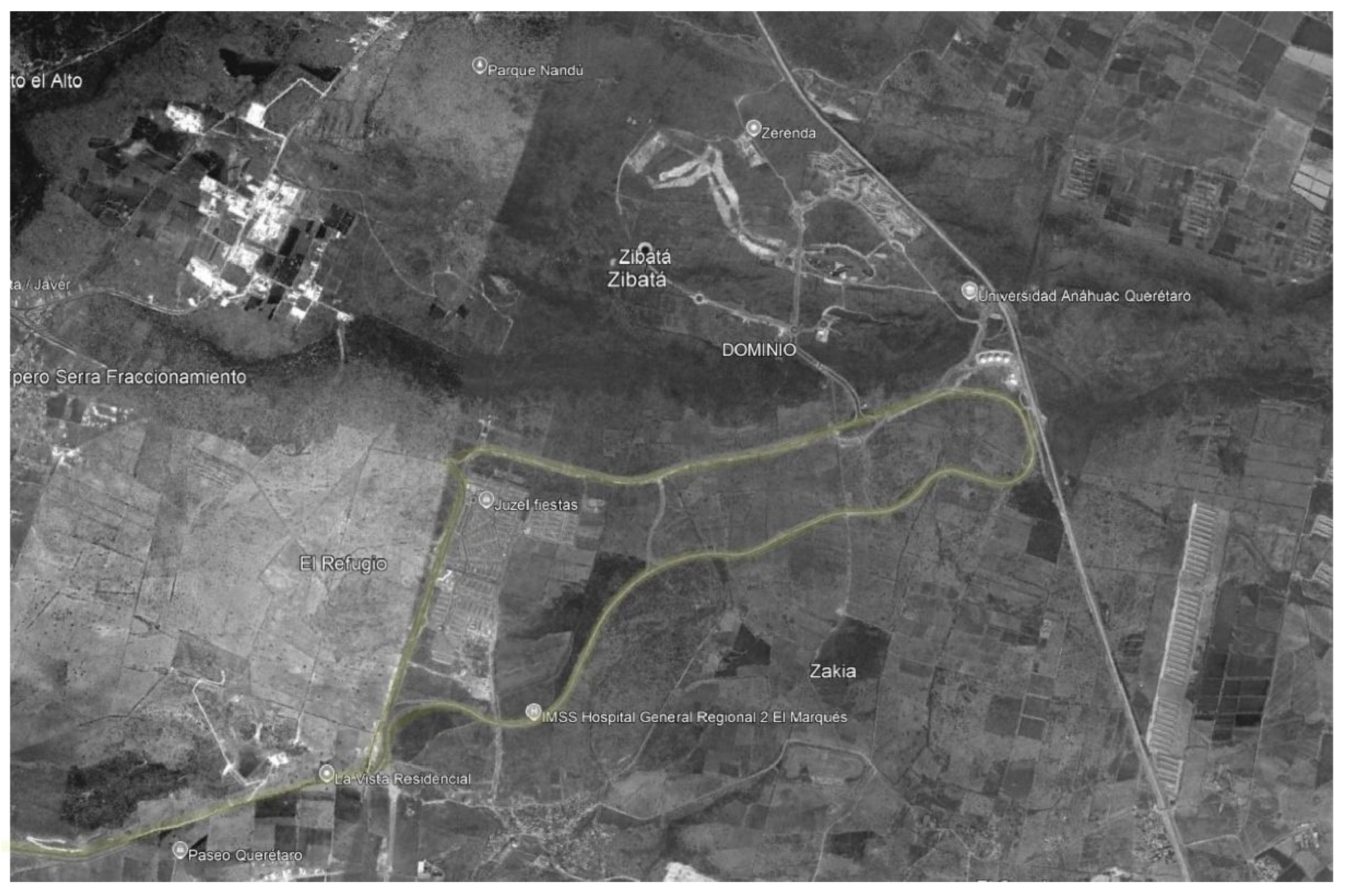 Preprints 164323 g002