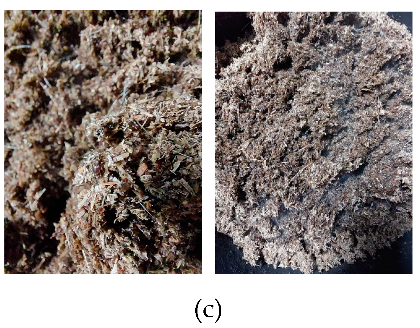 Preprints 154247 g001b