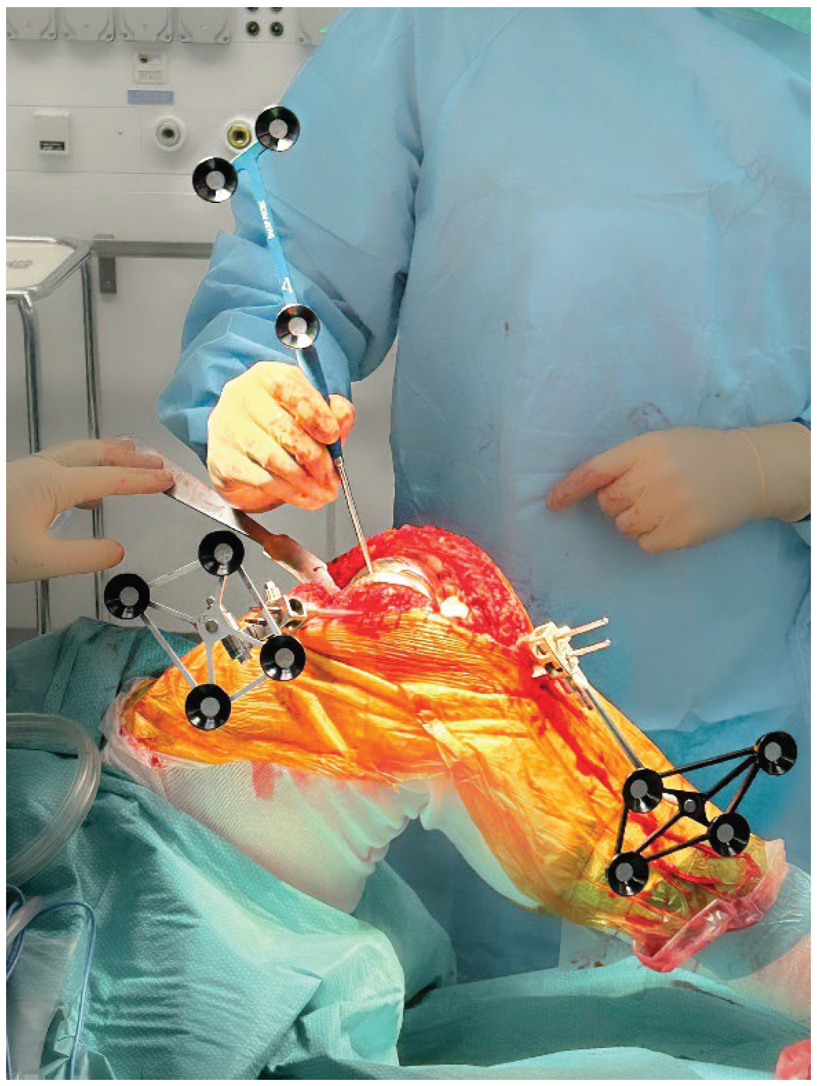 Preprints 192446 g001