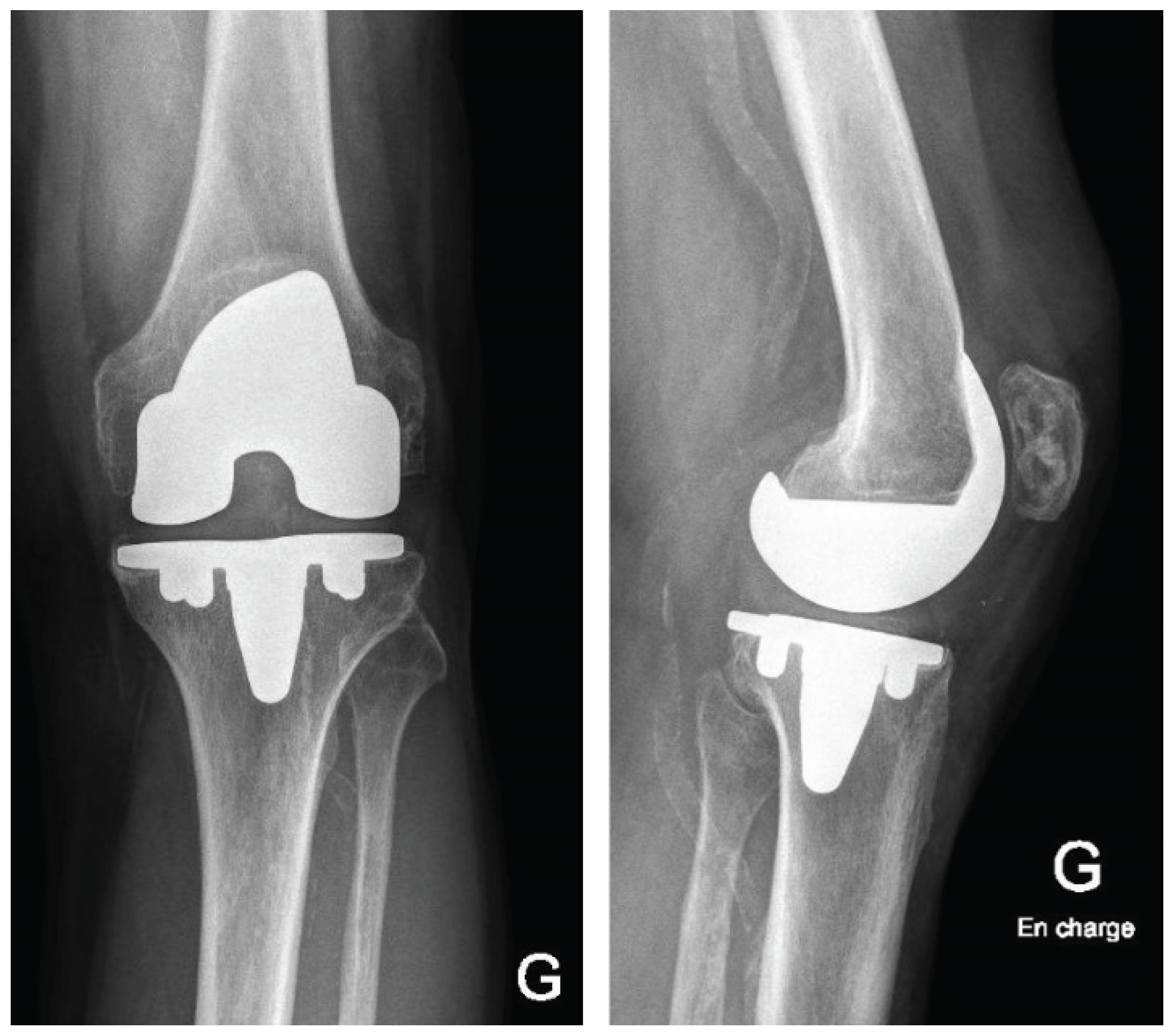 Preprints 192446 g007a