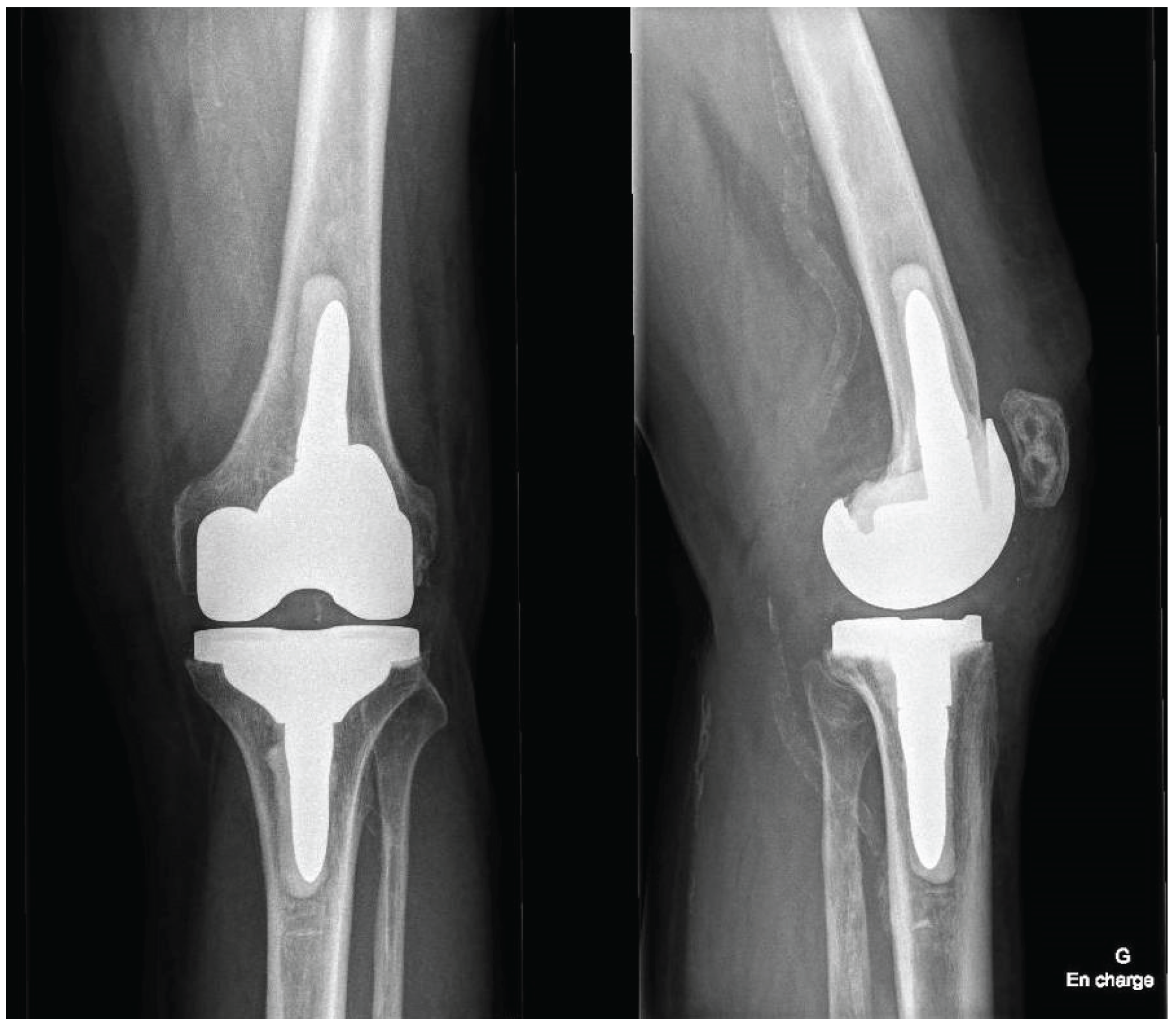 Preprints 192446 g007b