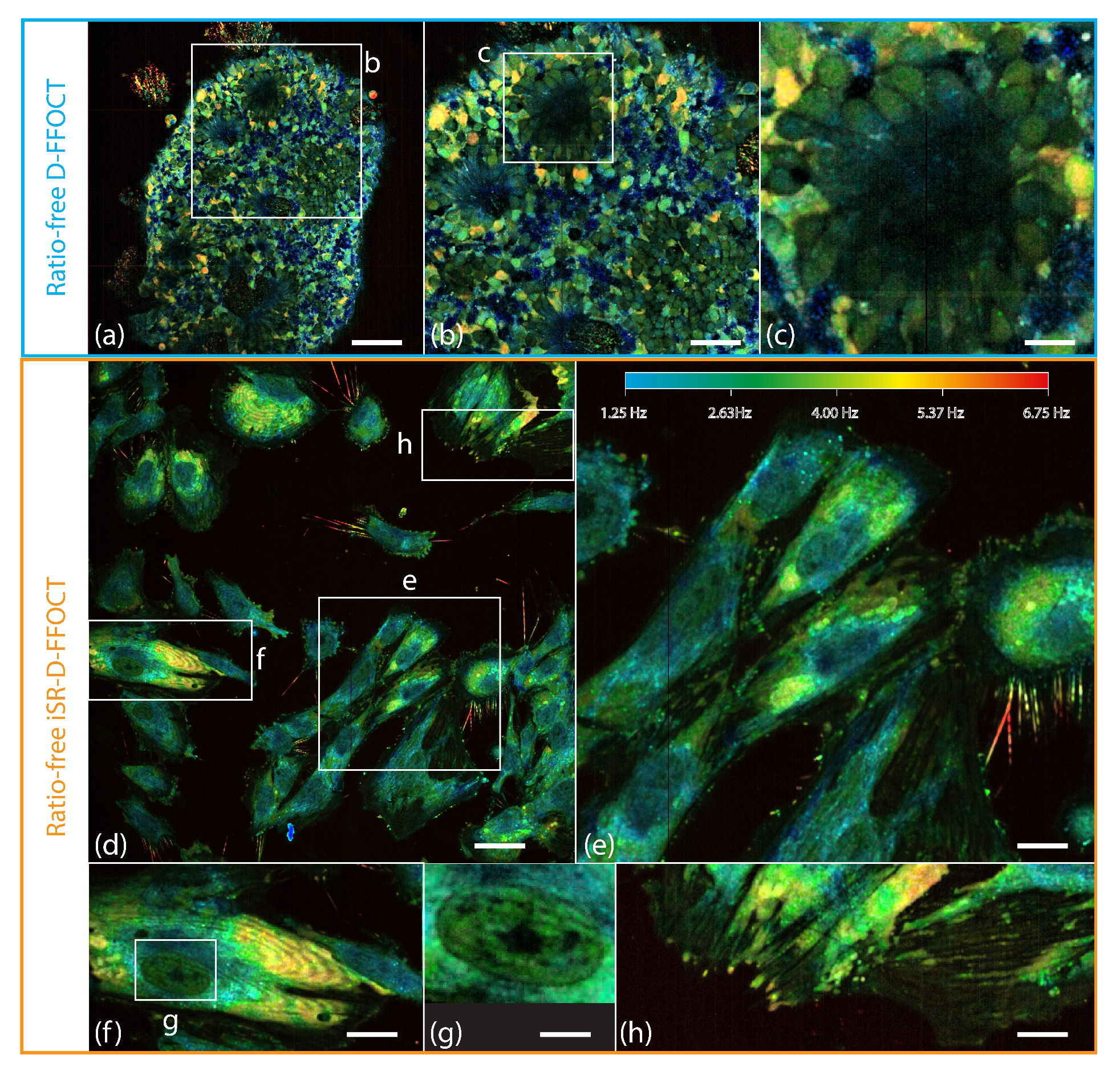 Preprints 211378 g003