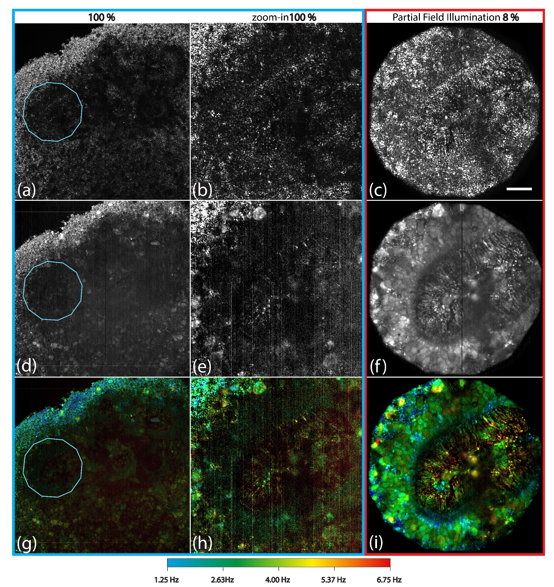 Preprints 211378 g004