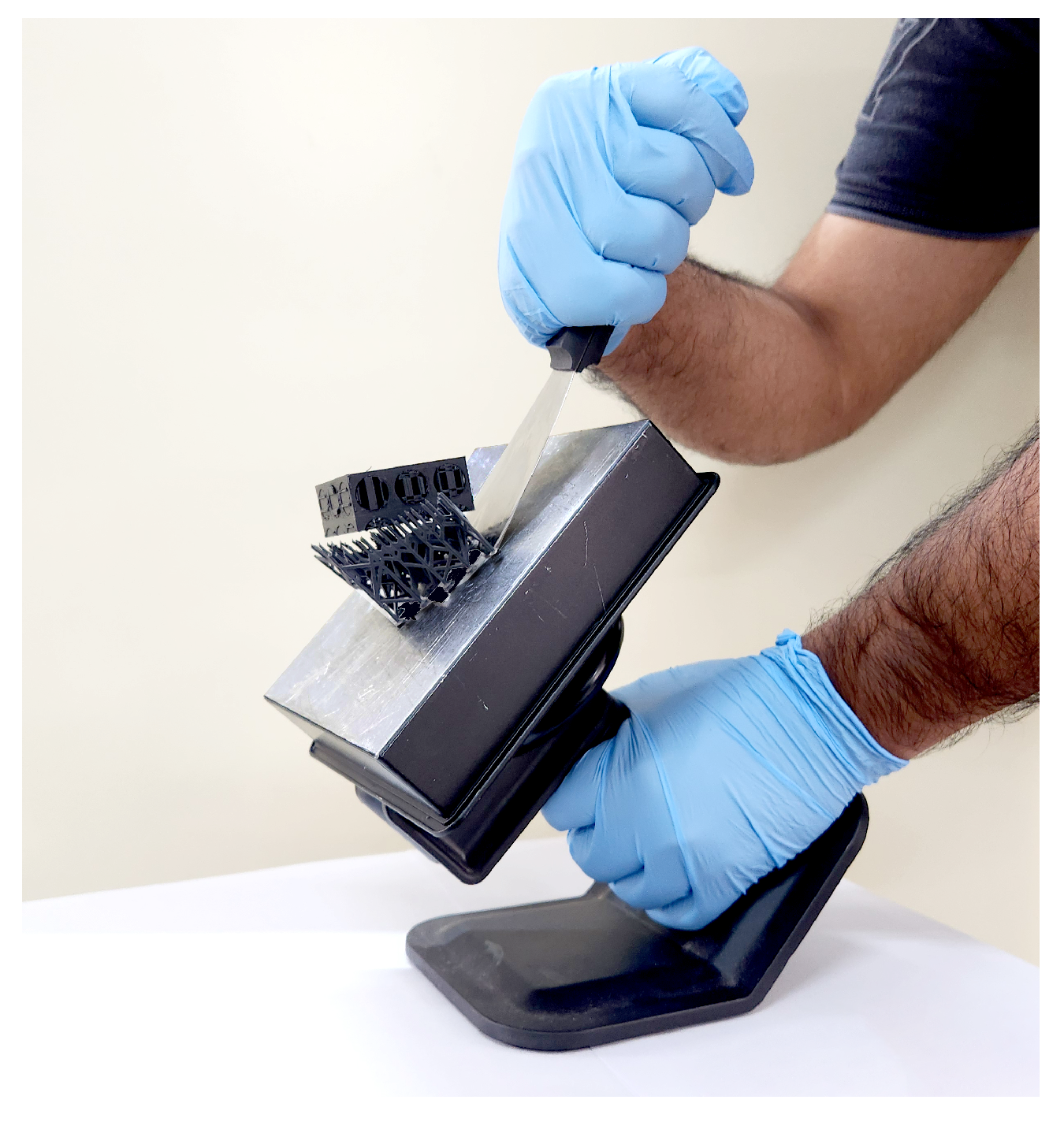 Preprints 145891 g001