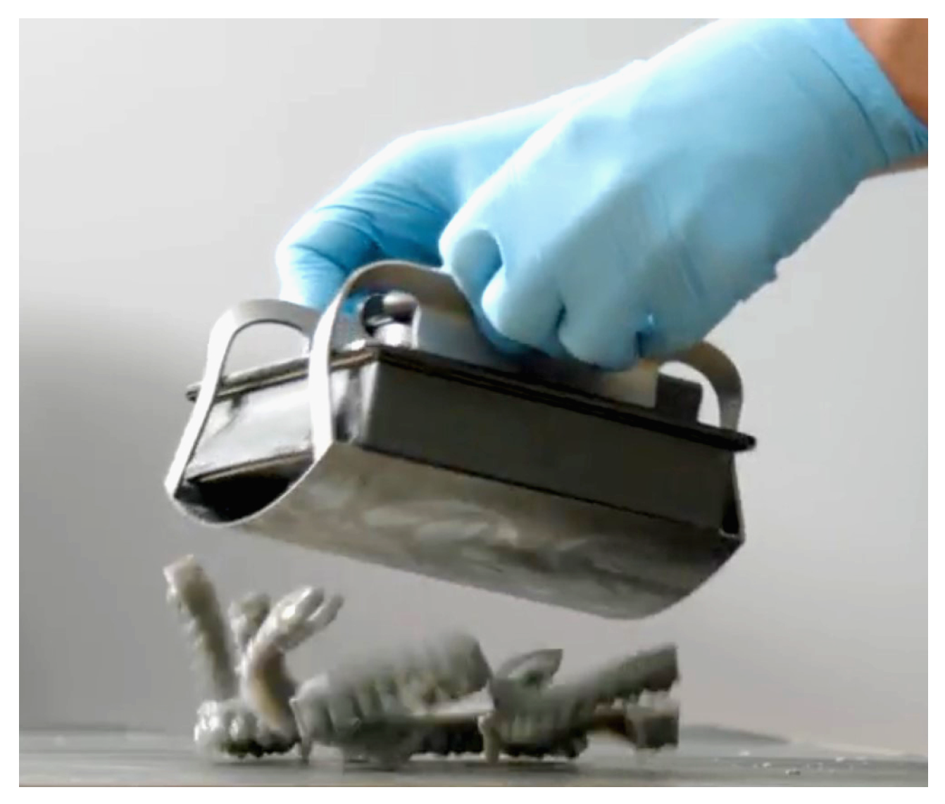 Preprints 145891 g002