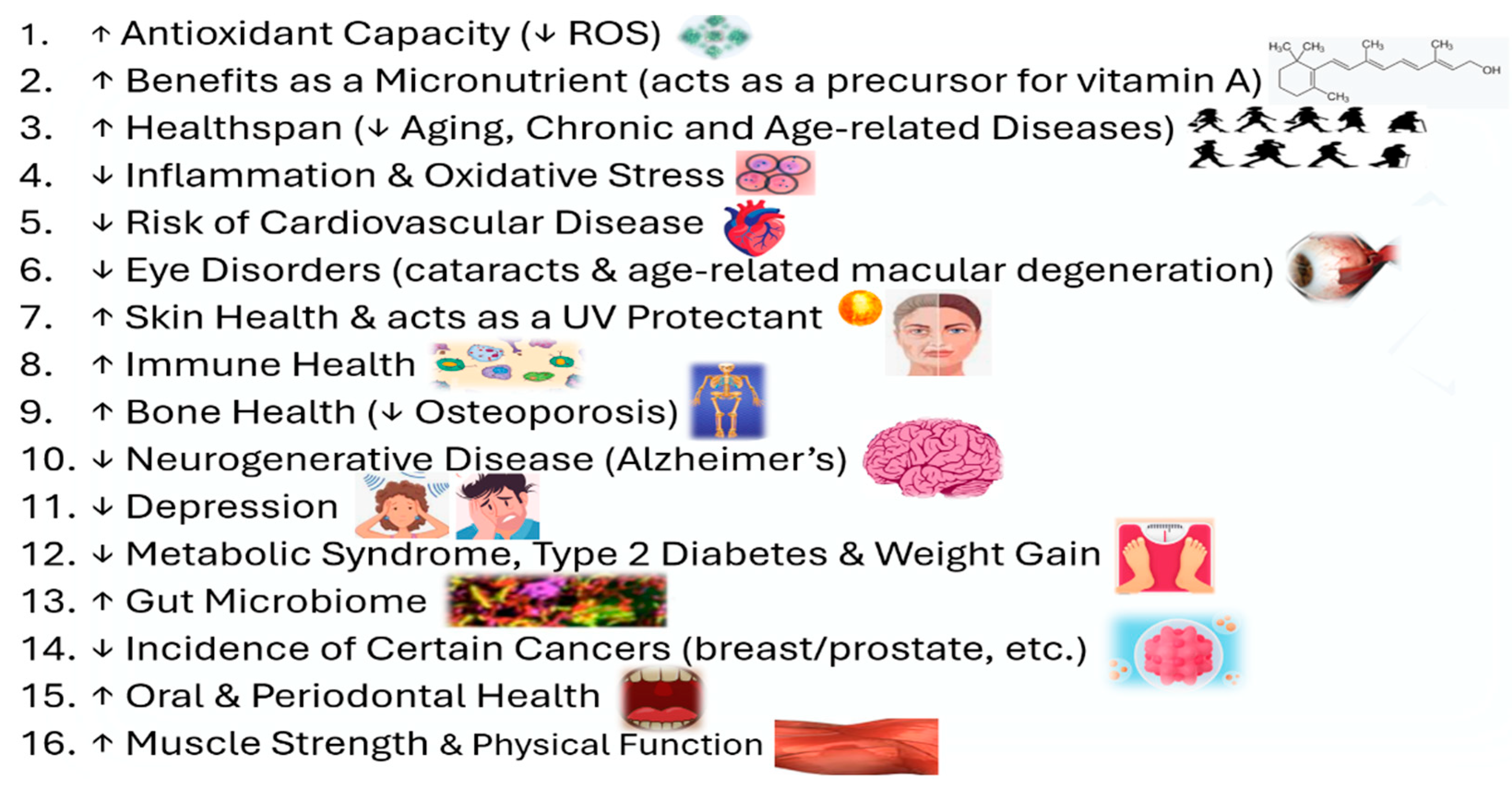 Preprints 166284 g003