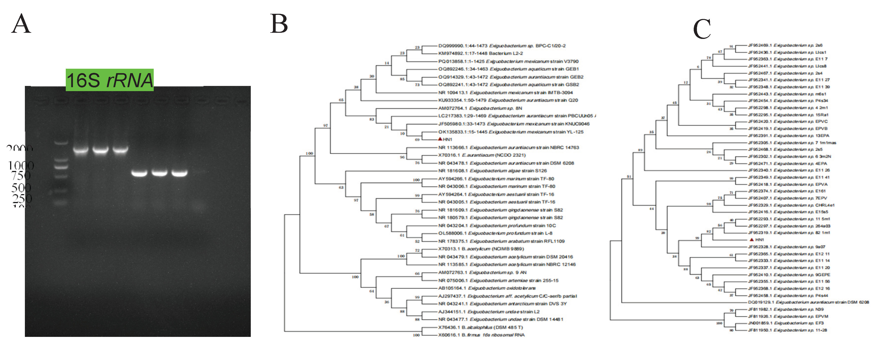 Preprints 177938 g004