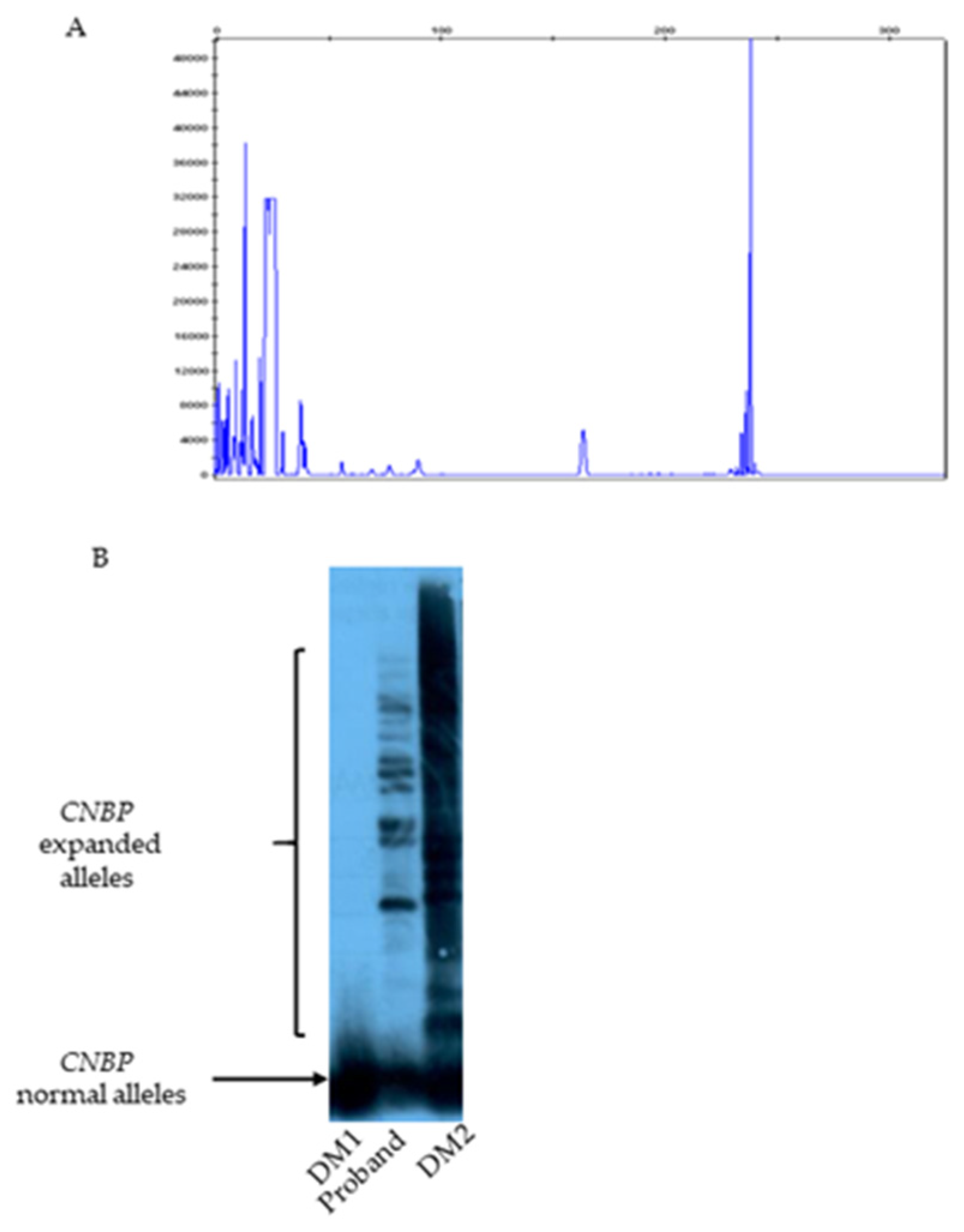 Preprints 166943 g002