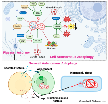 Preprints 101289 g002