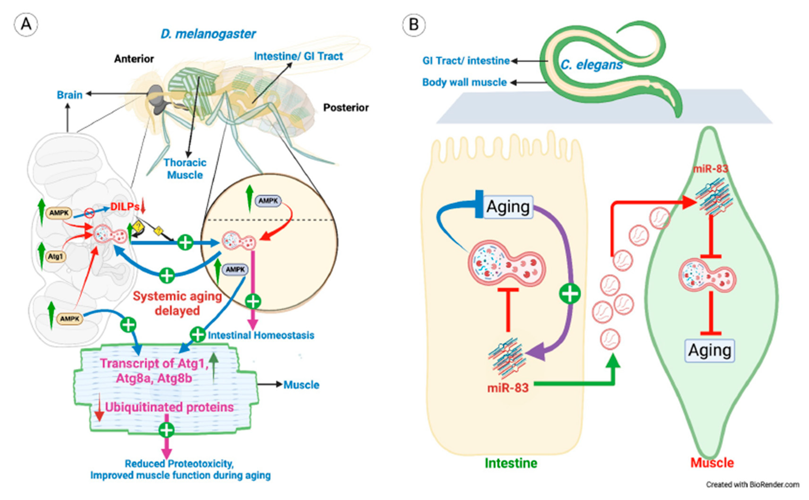 Preprints 101289 g003