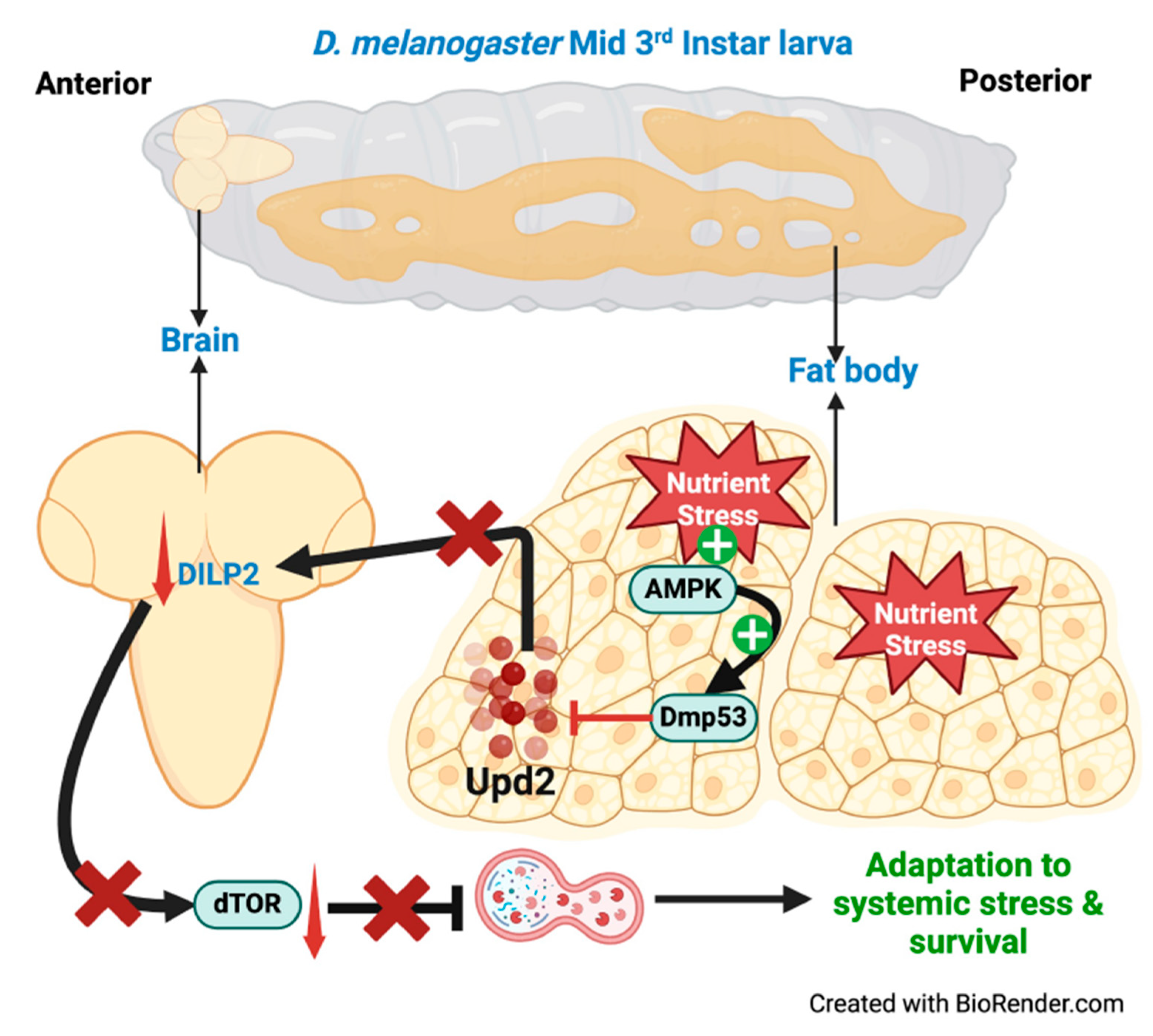 Preprints 101289 g004