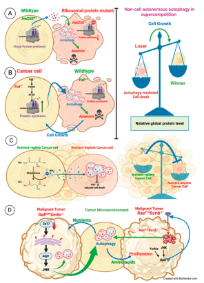 Preprints 101289 g007