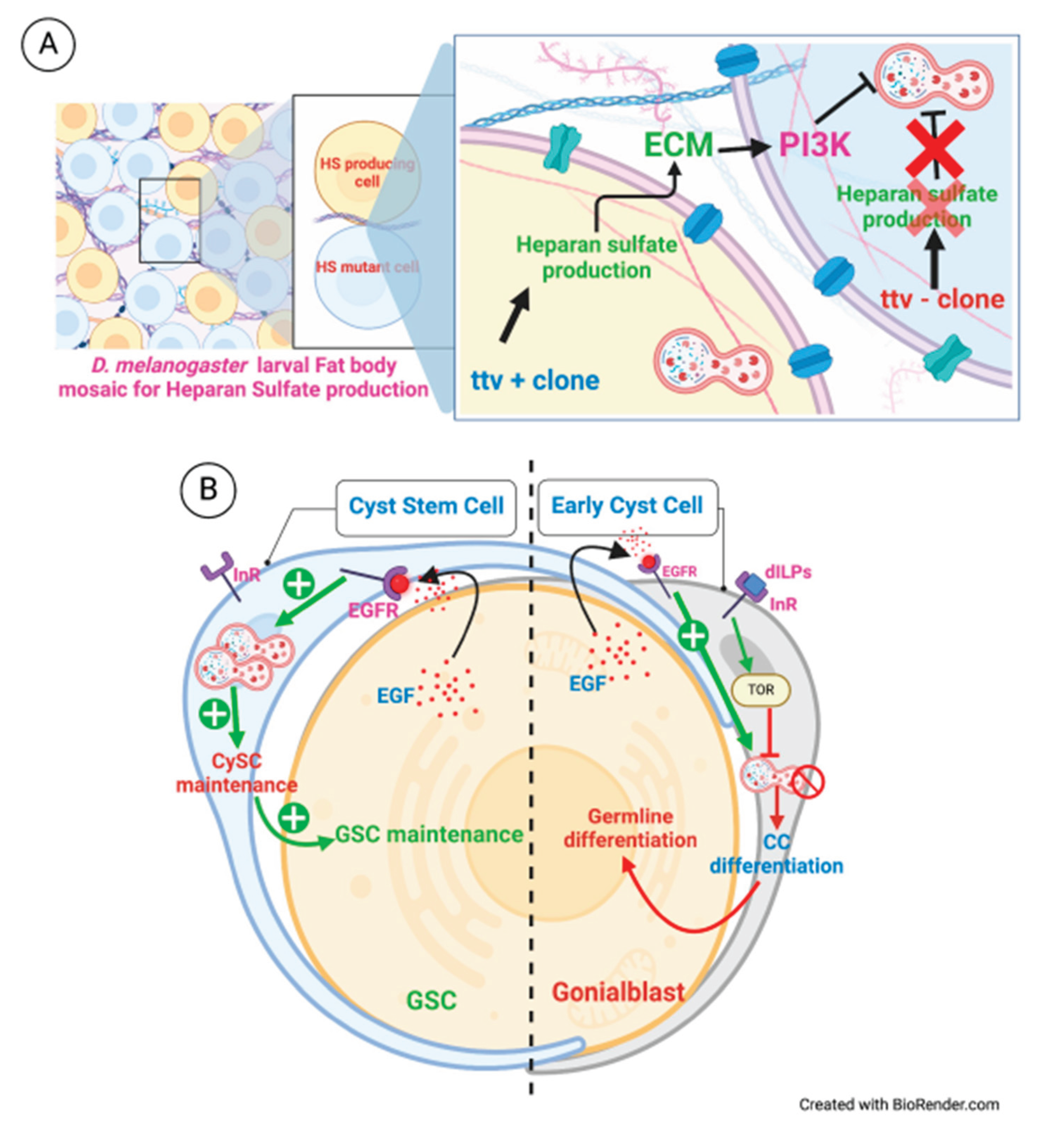 Preprints 101289 g008