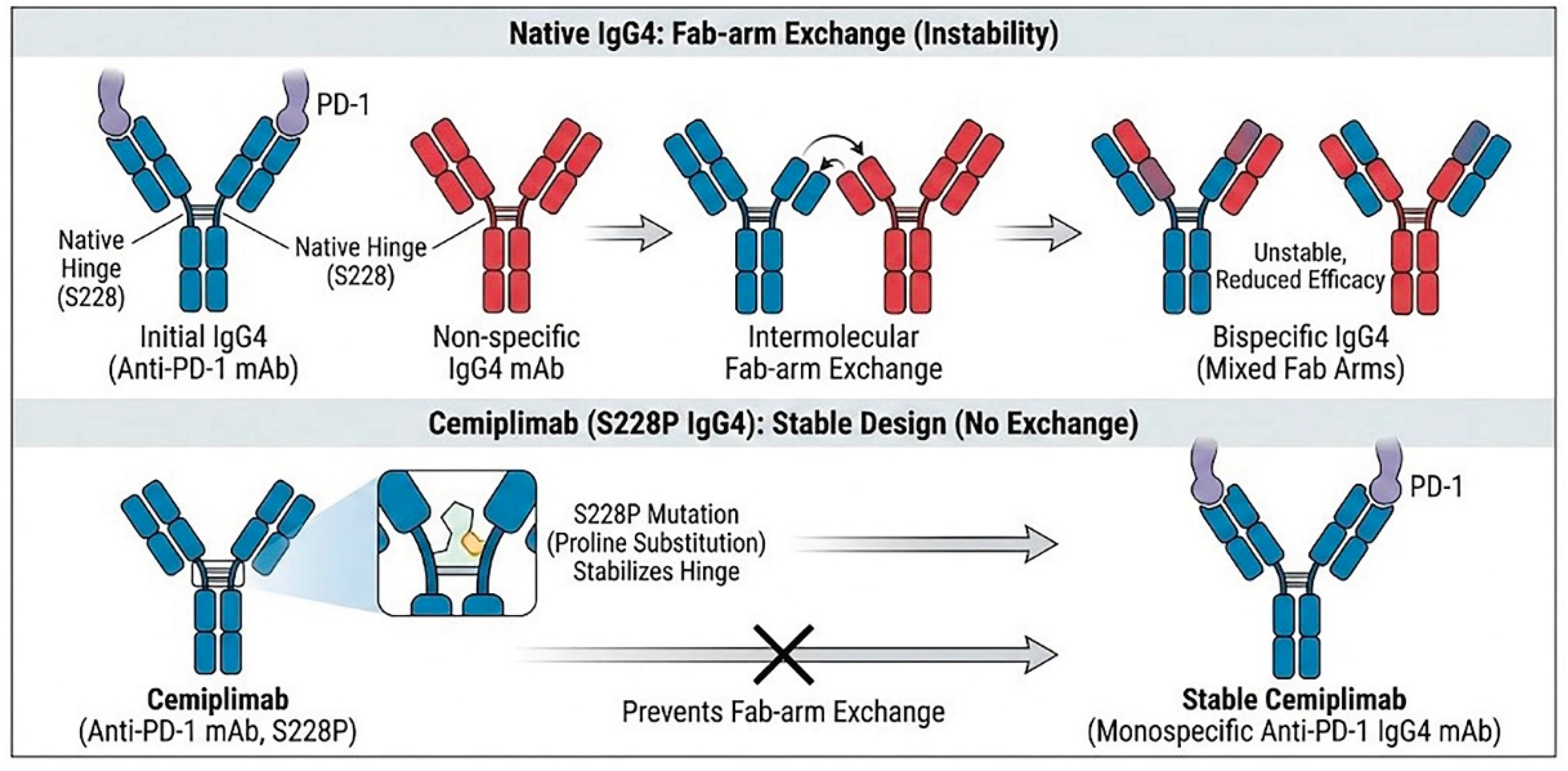 Preprints 189545 g001