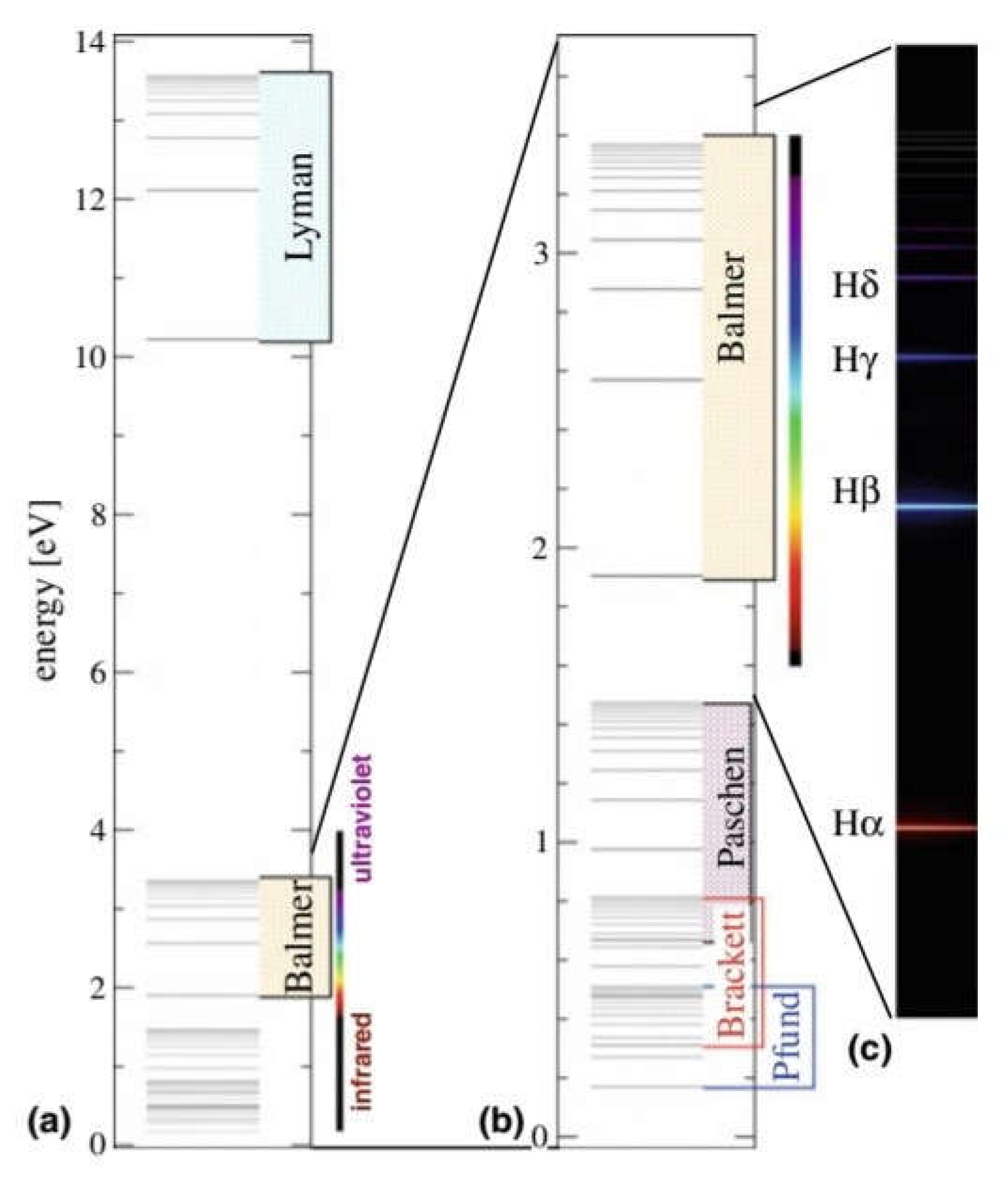 Preprints 143455 g002