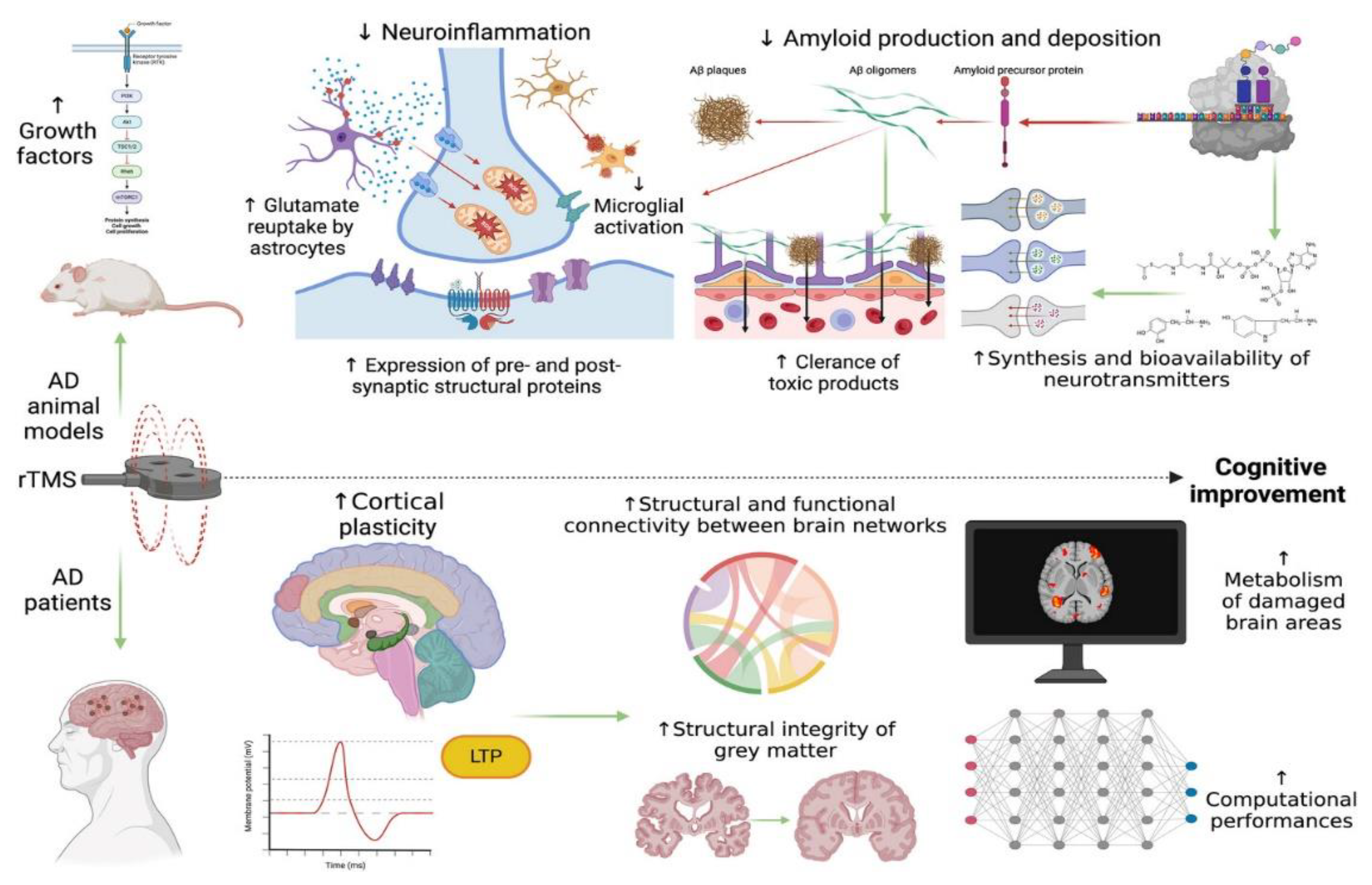Preprints 196205 g001