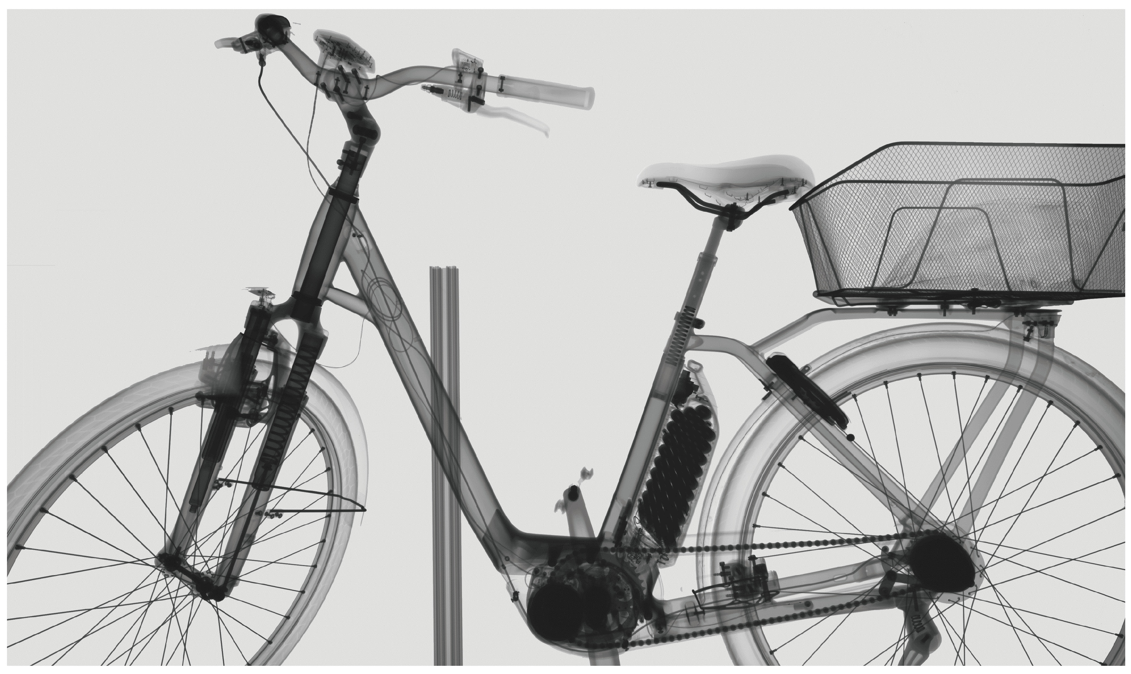 Preprints 153012 g009