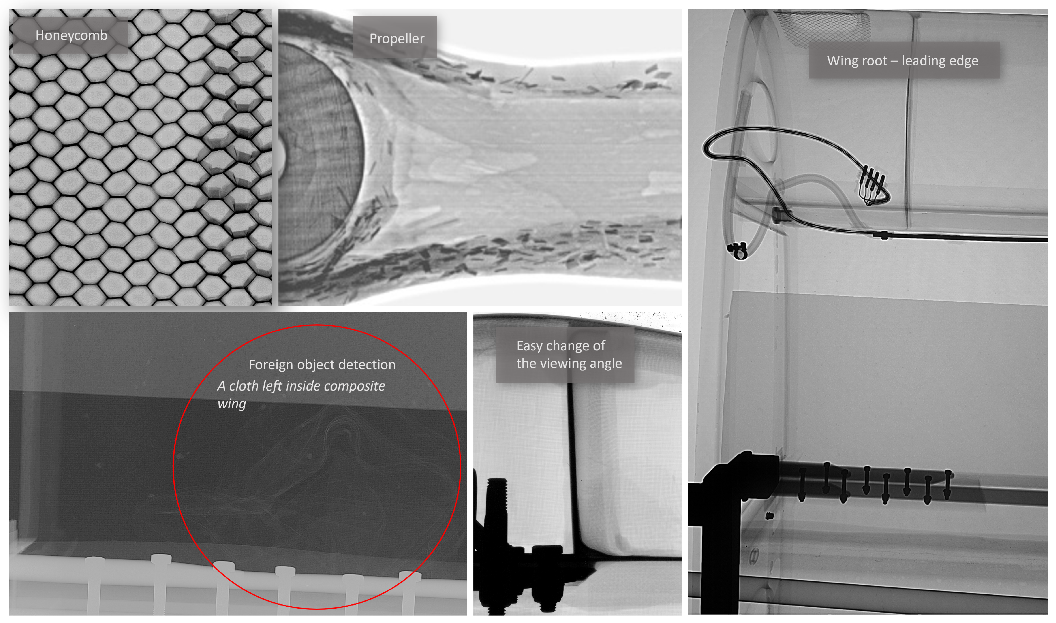 Preprints 153012 g010