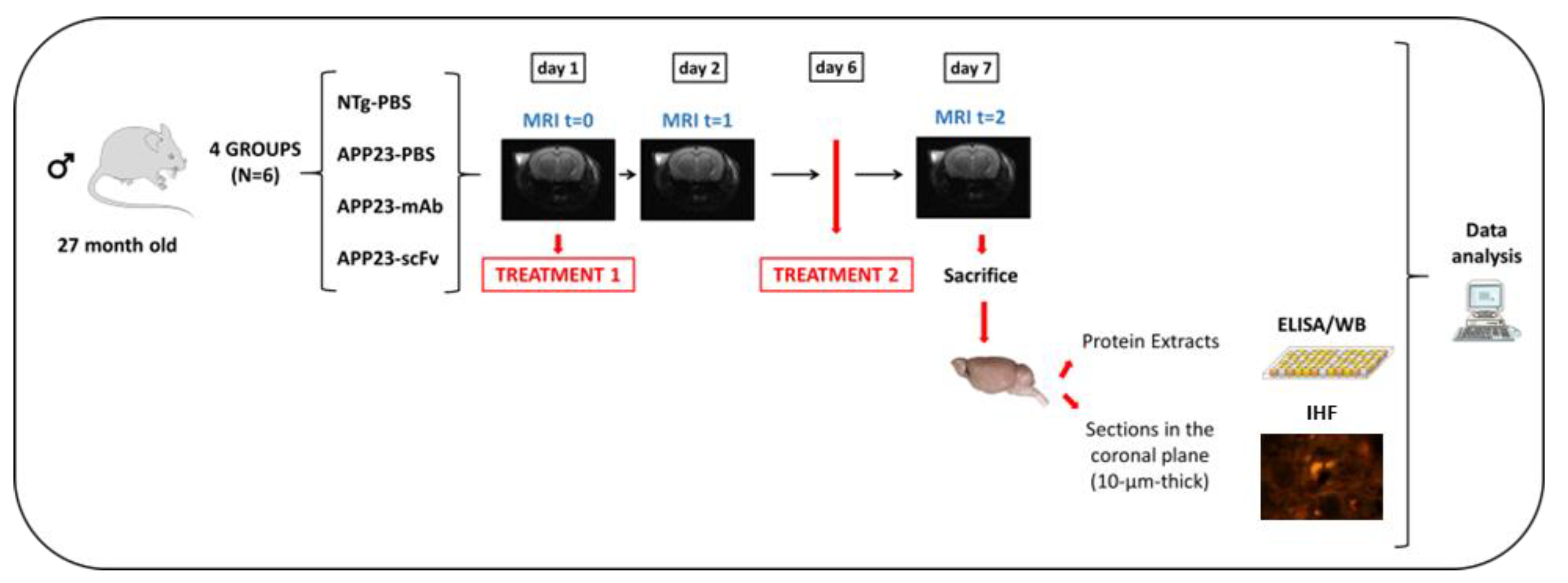 Preprints 183541 g001