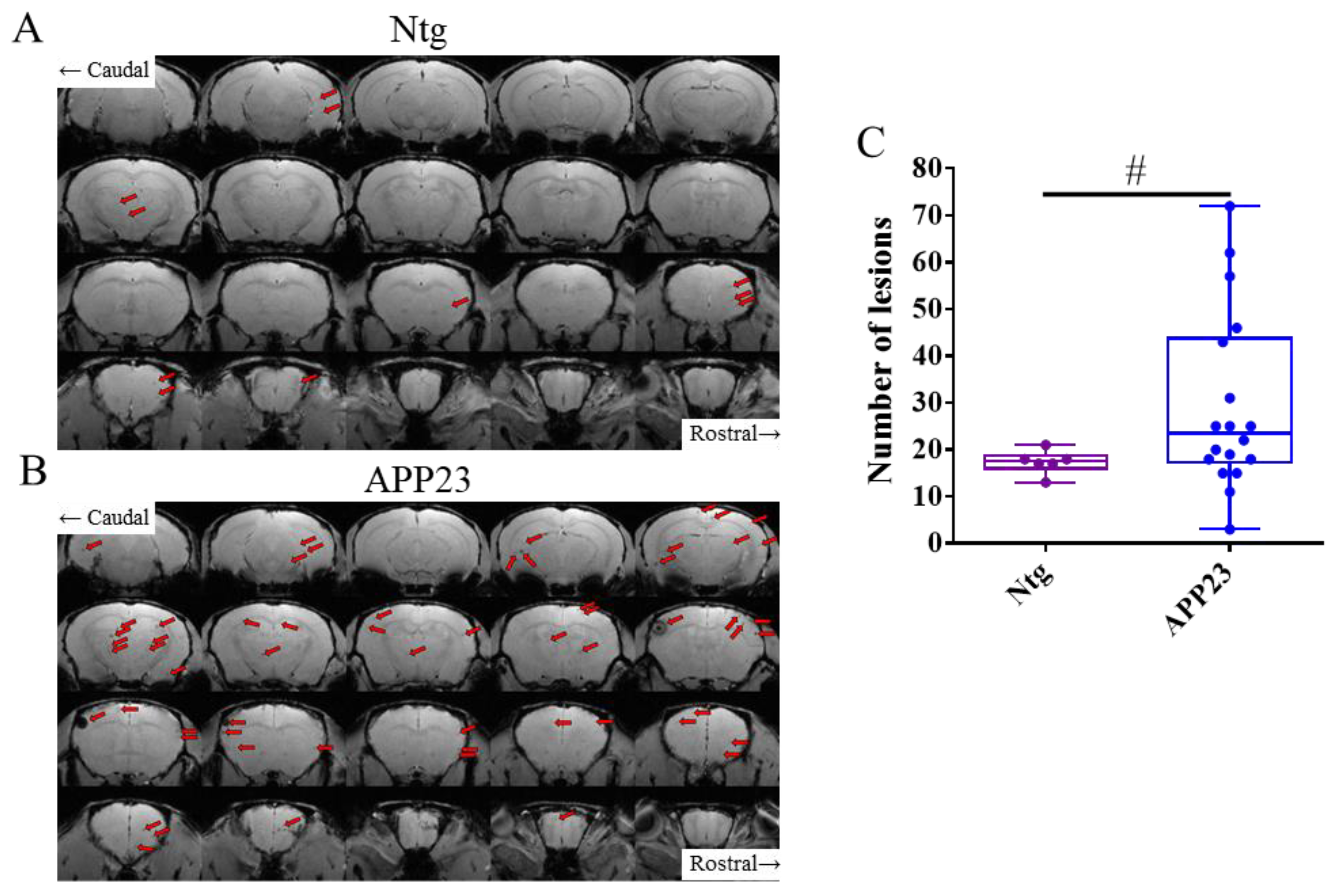 Preprints 183541 g002