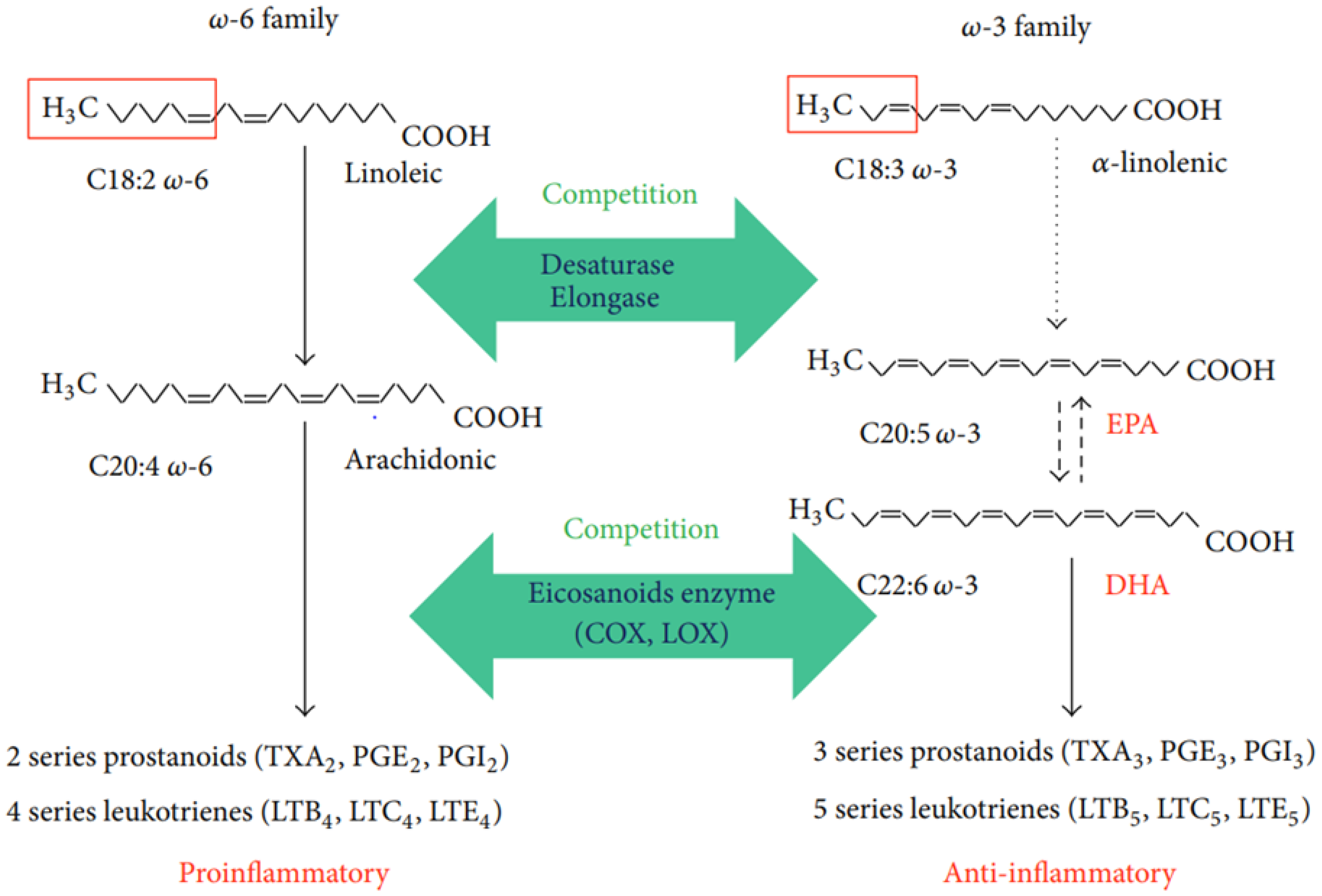 Preprints 150079 g002