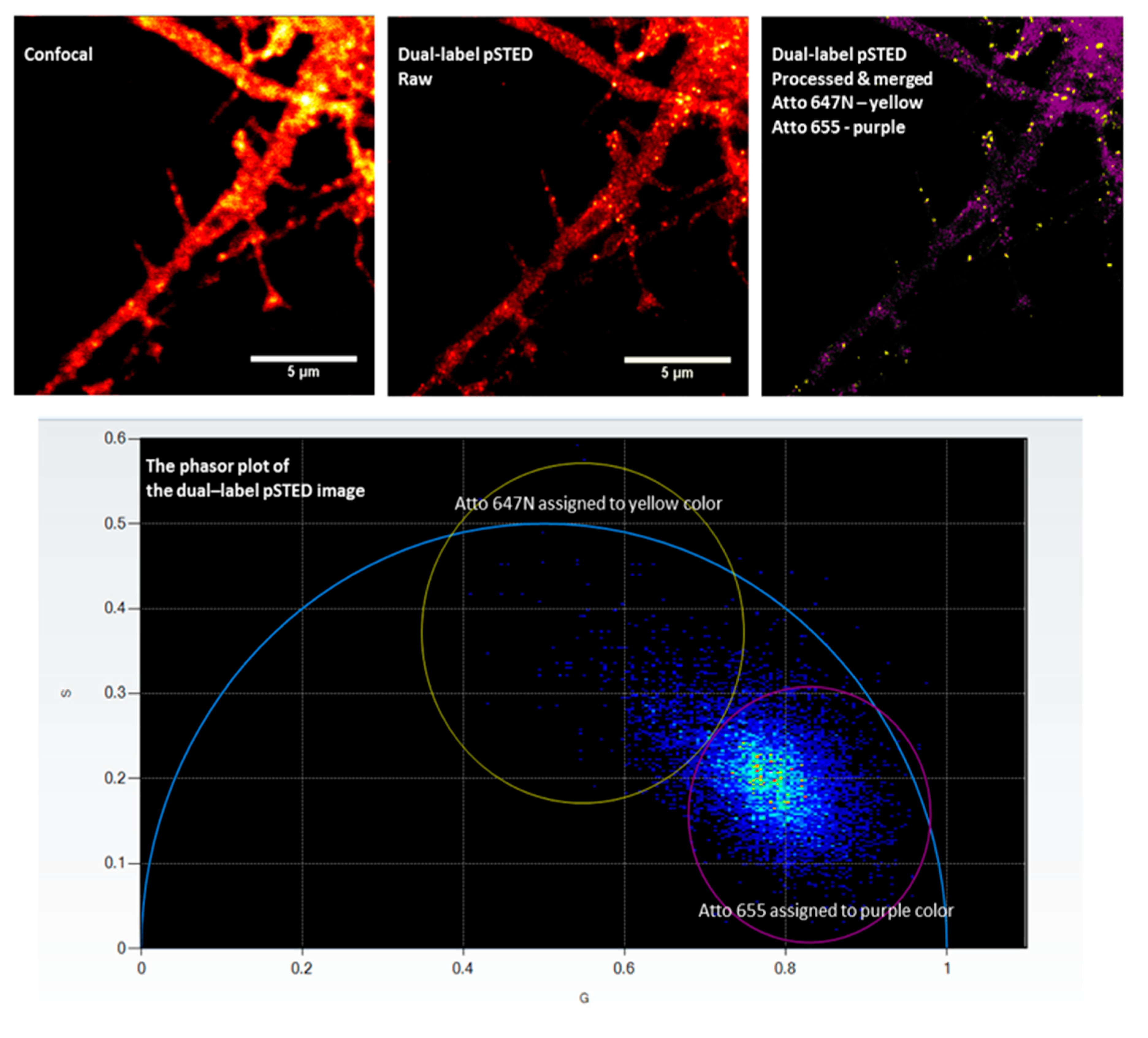 Preprints 202853 g006 Preprints 202853 g006