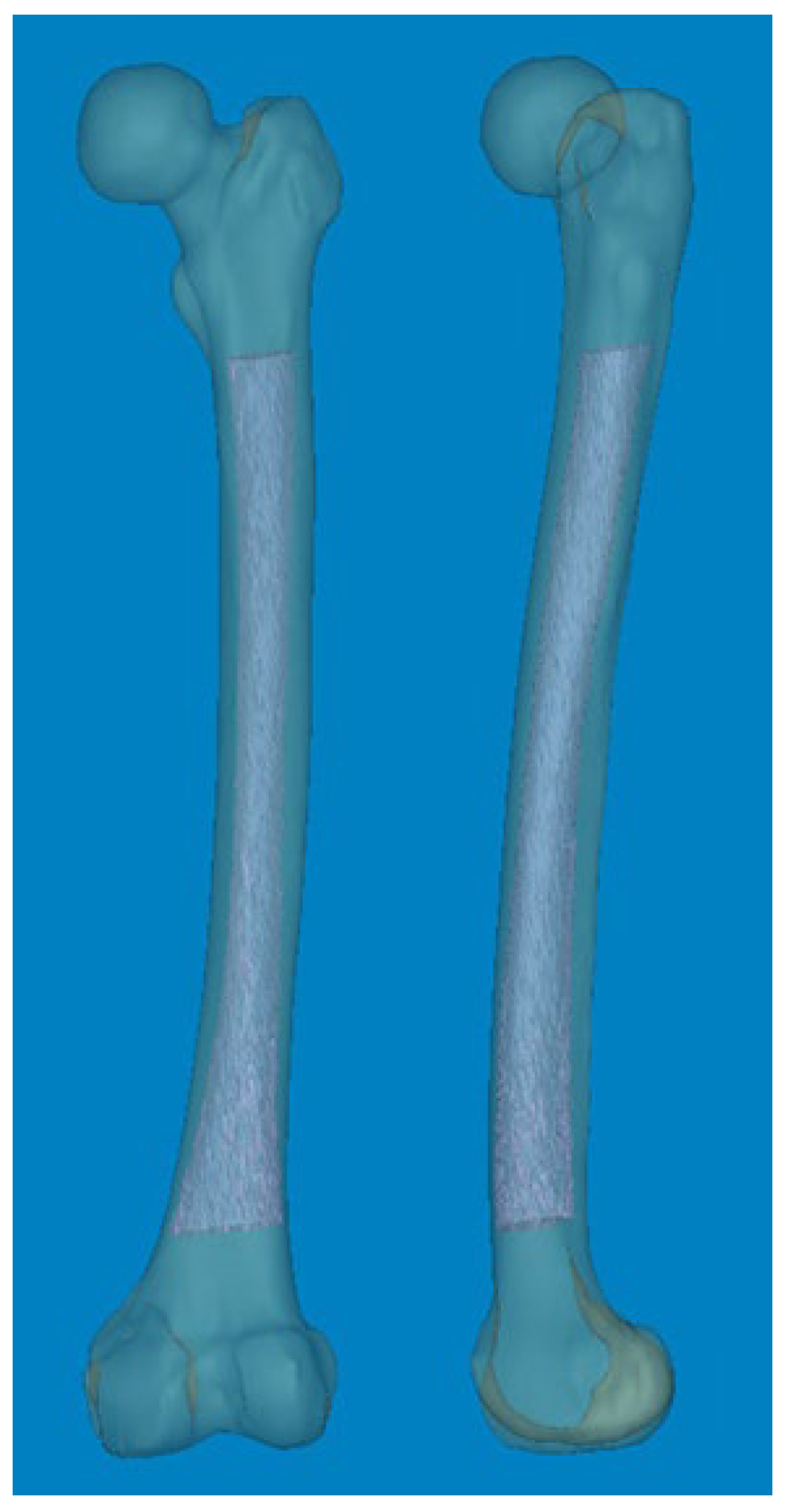 Preprints 107346 g001