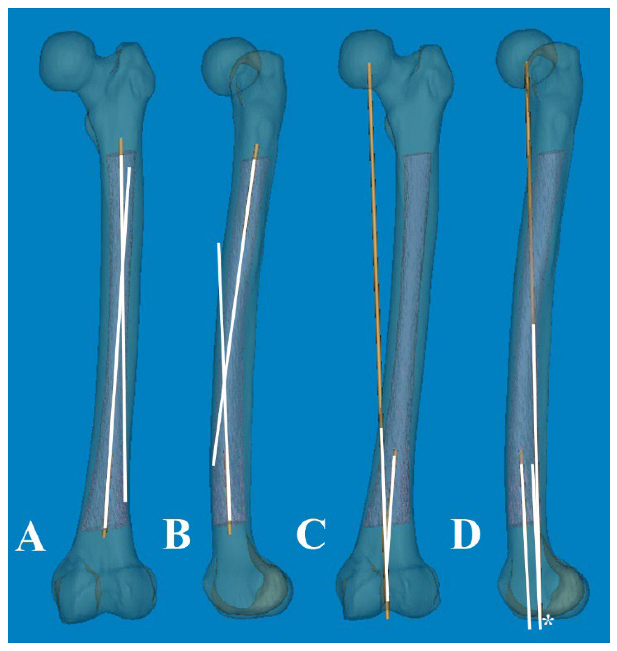 Preprints 107346 g002