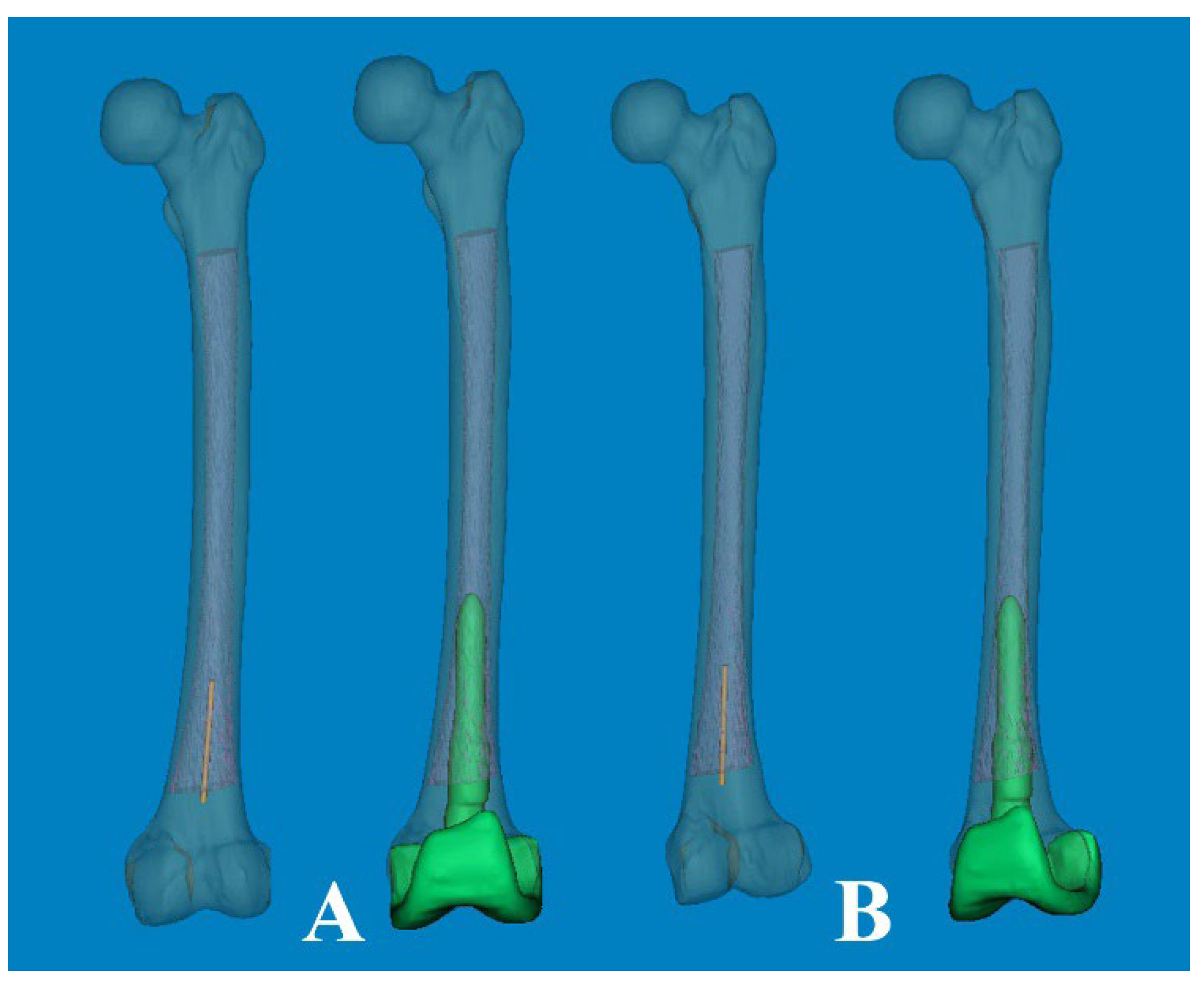 Preprints 107346 g006