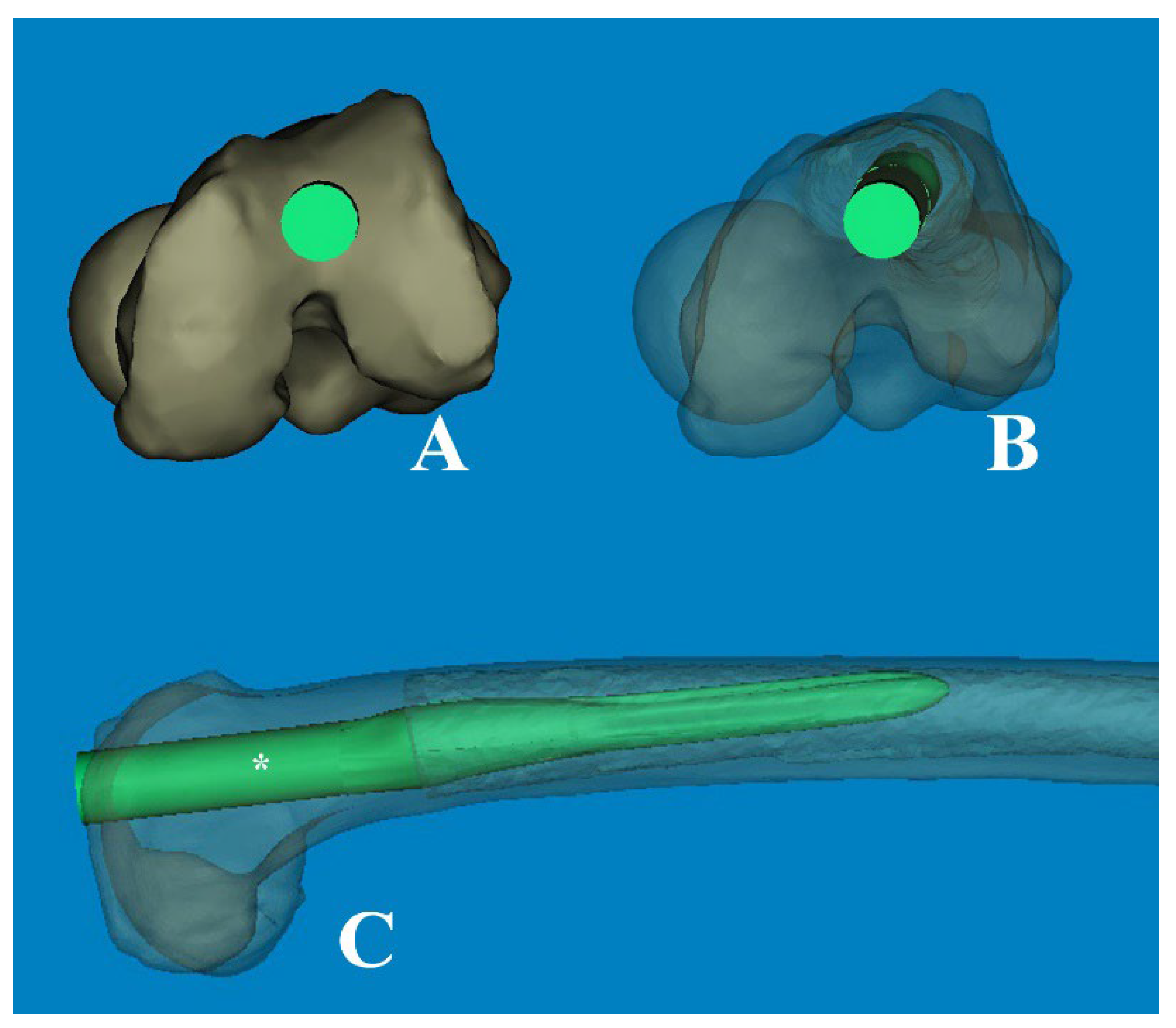 Preprints 107346 g008