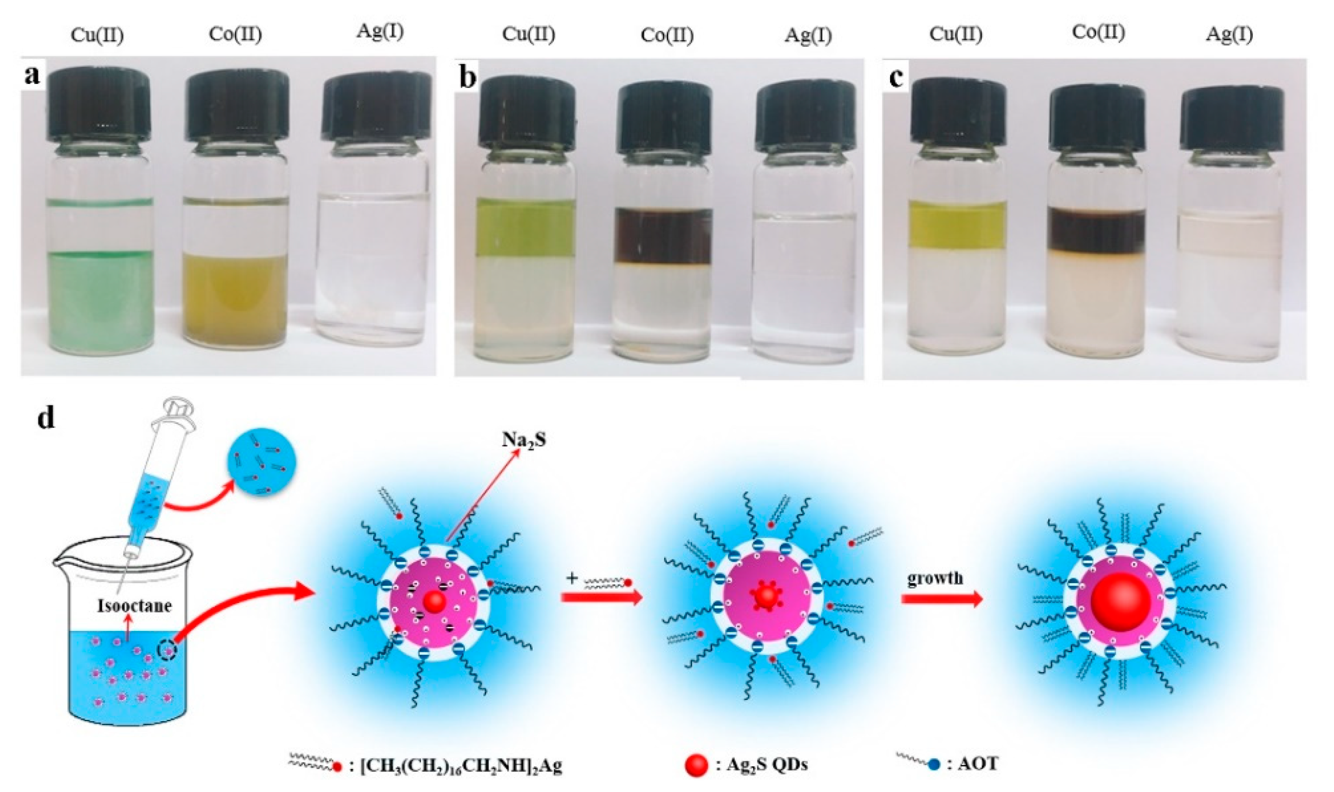 Preprints 157457 g001