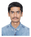 Preprints 179187 i002