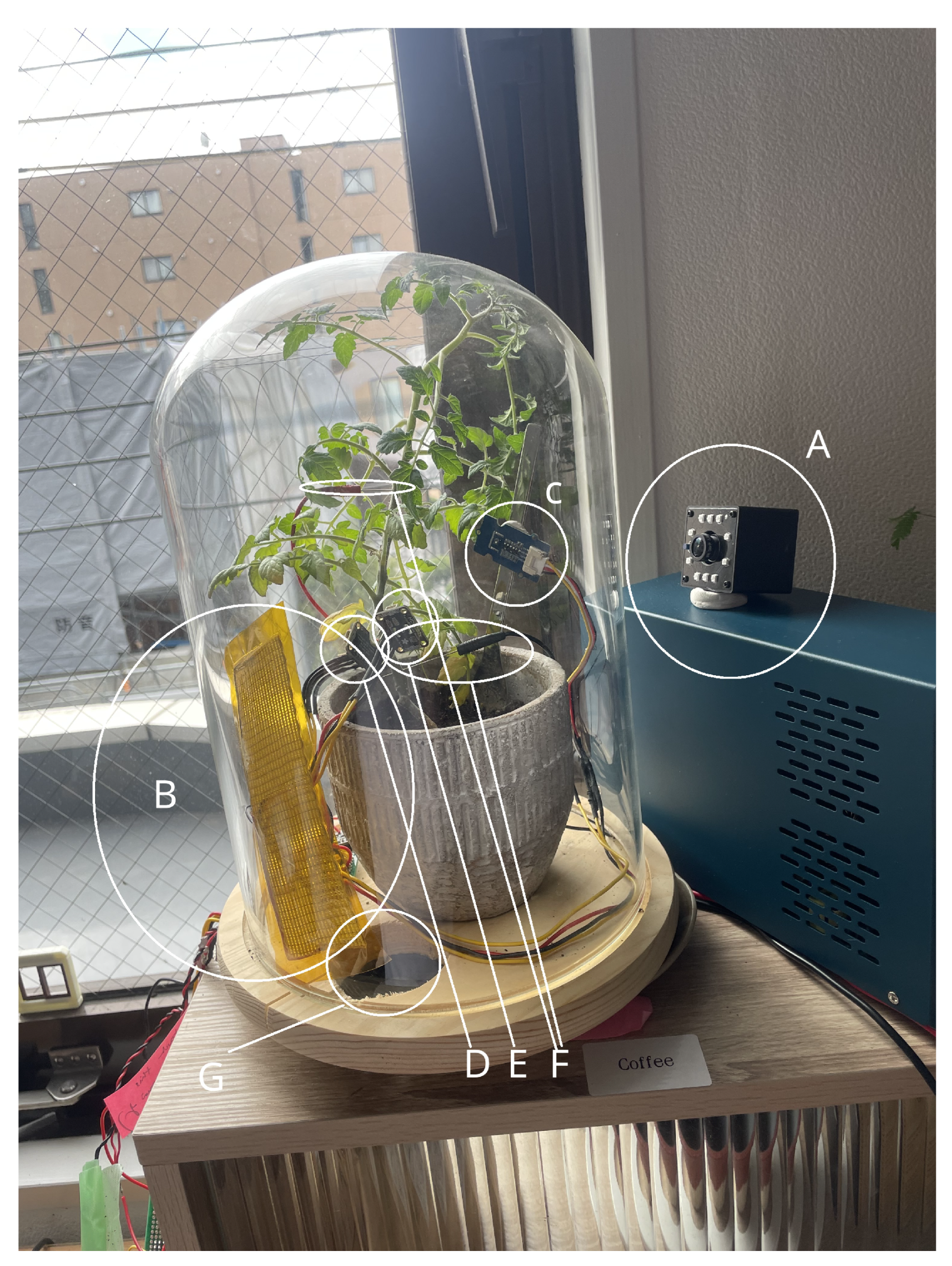 Preprints 199330 g001