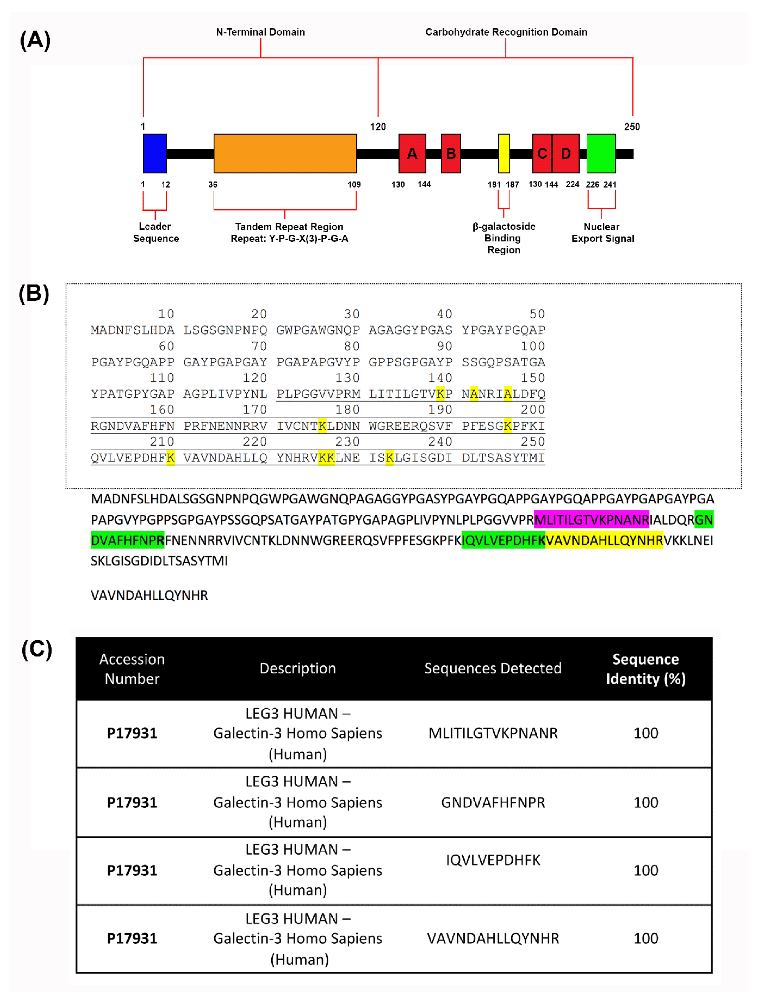 Preprints 115926 g003