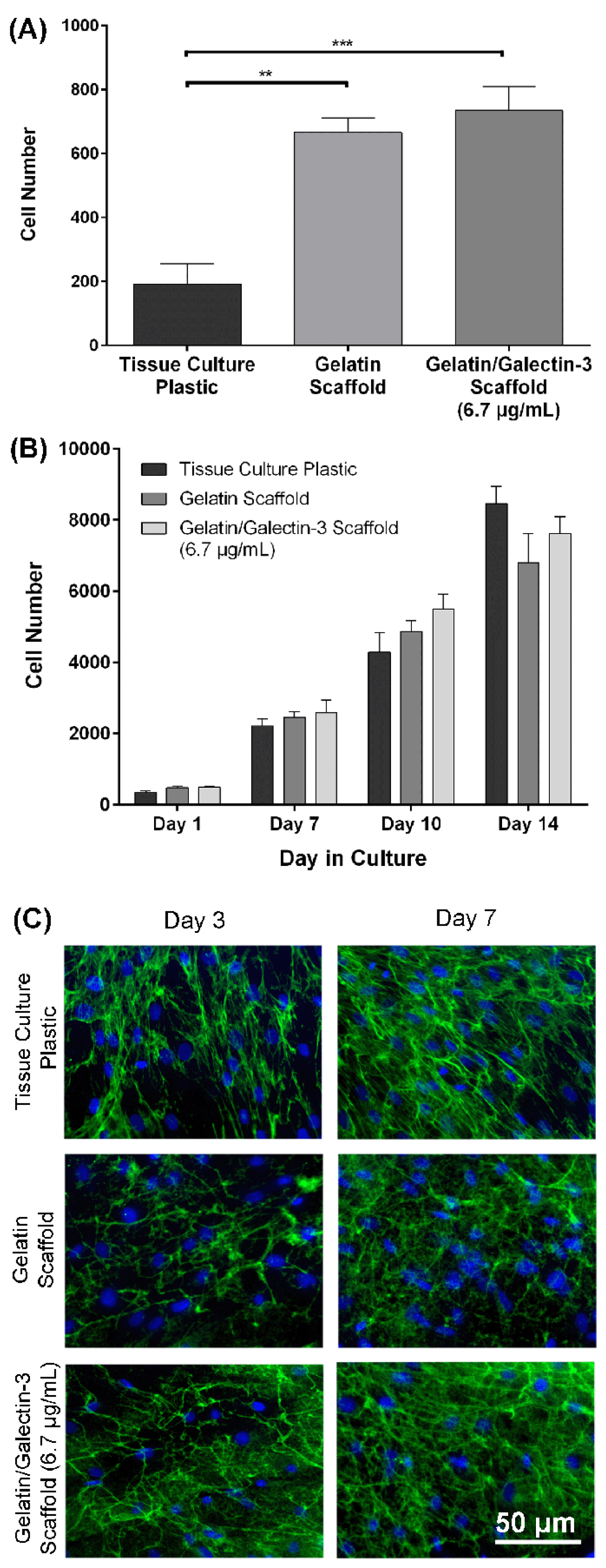 Preprints 115926 g004
