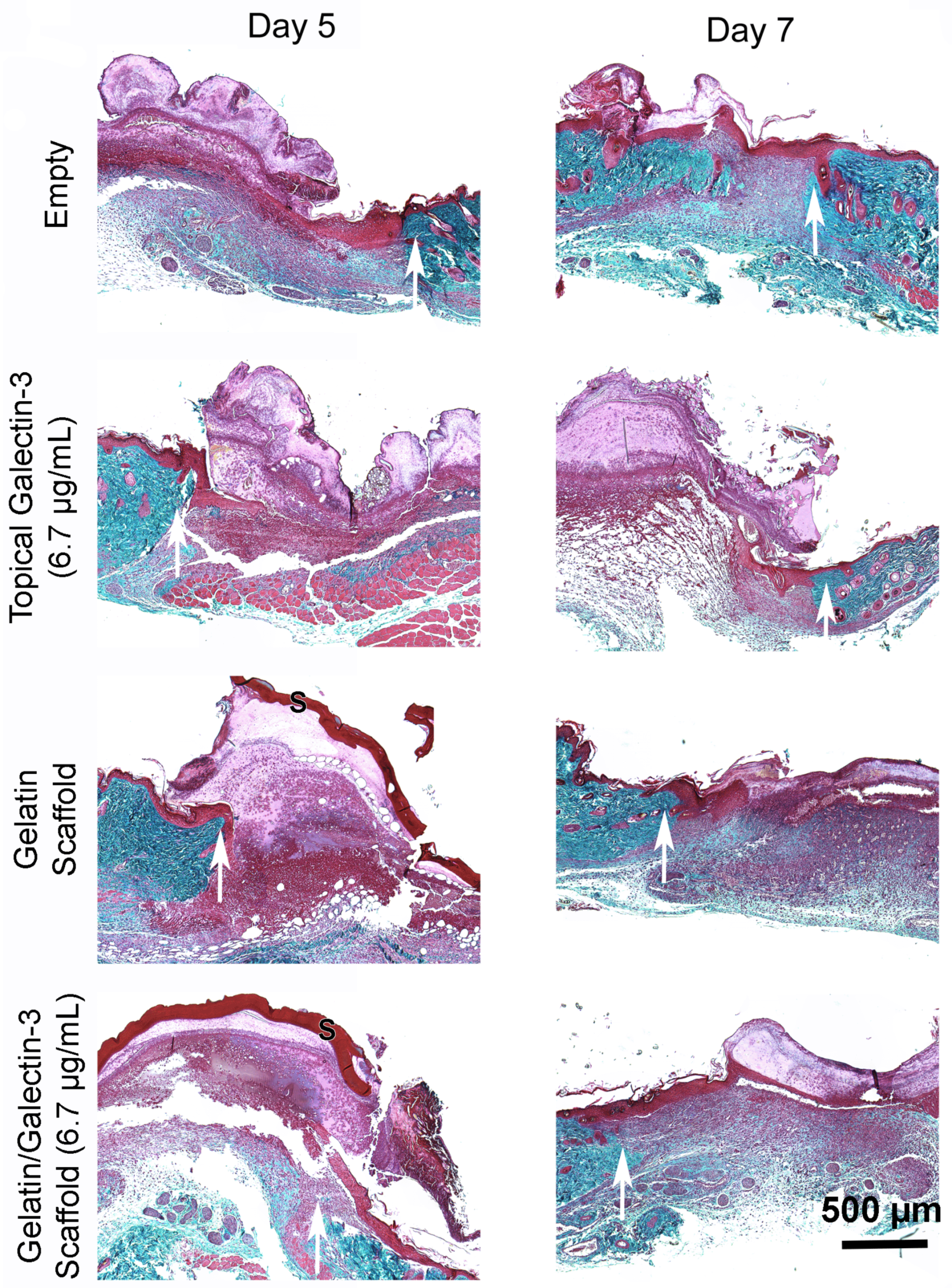 Preprints 115926 g007