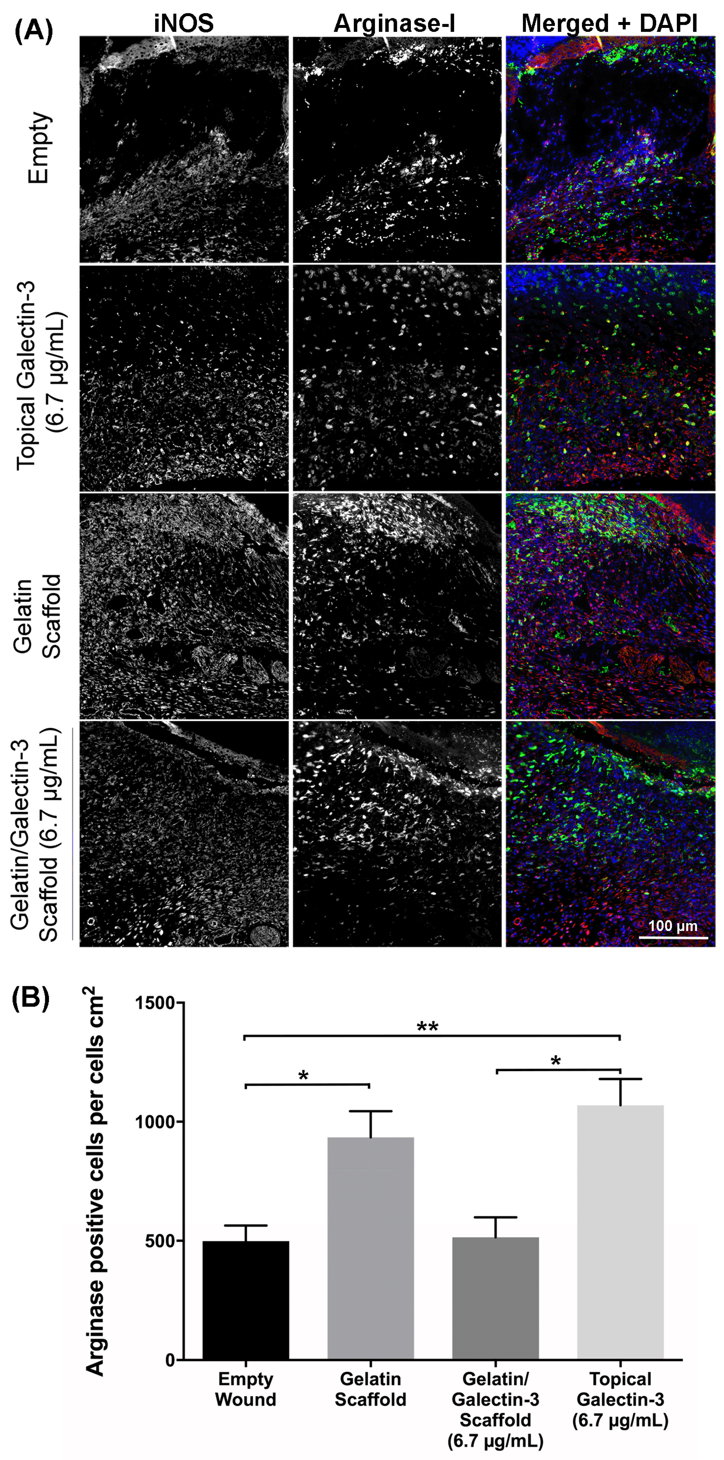 Preprints 115926 g009